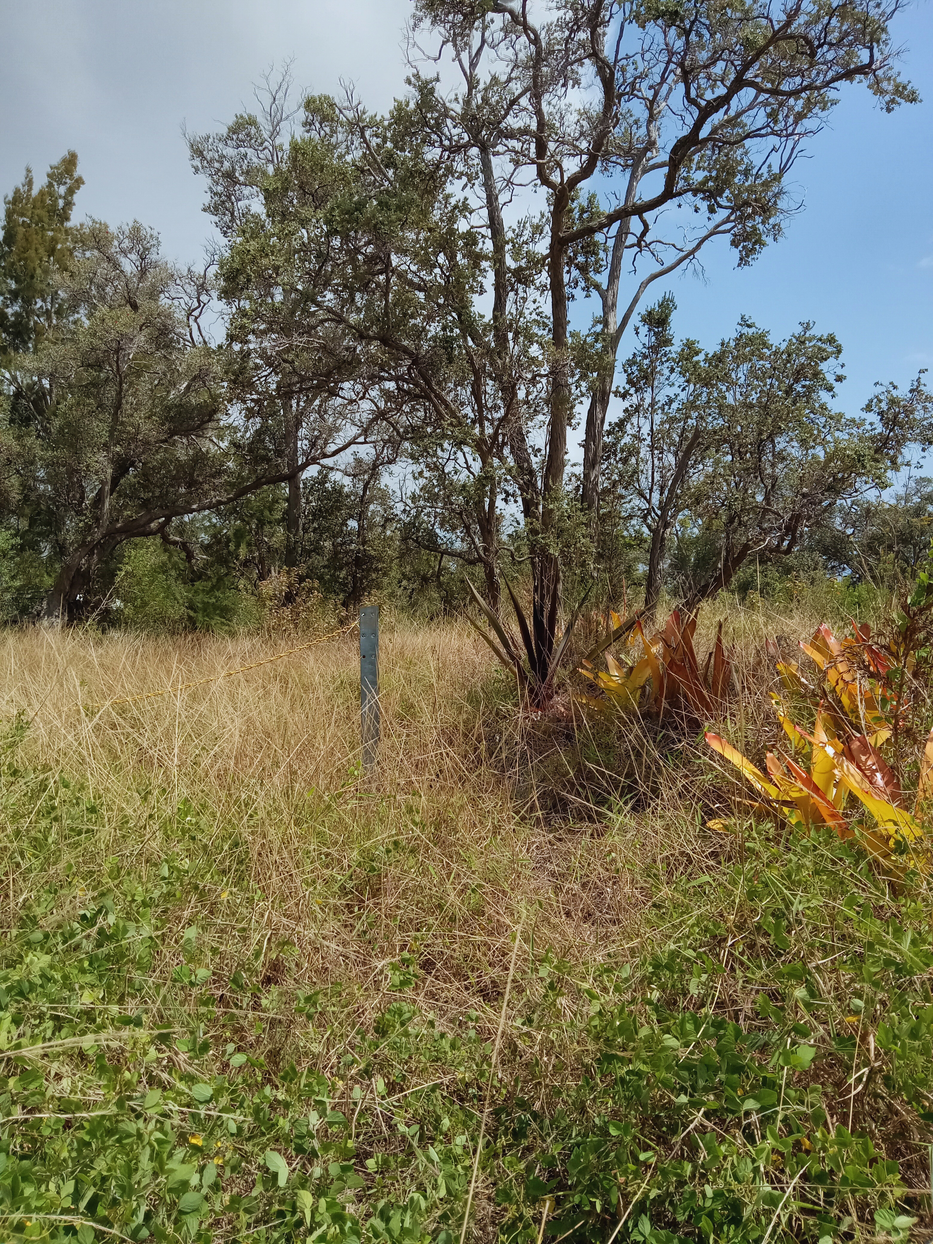 Coral Pkwy Property Photo 5