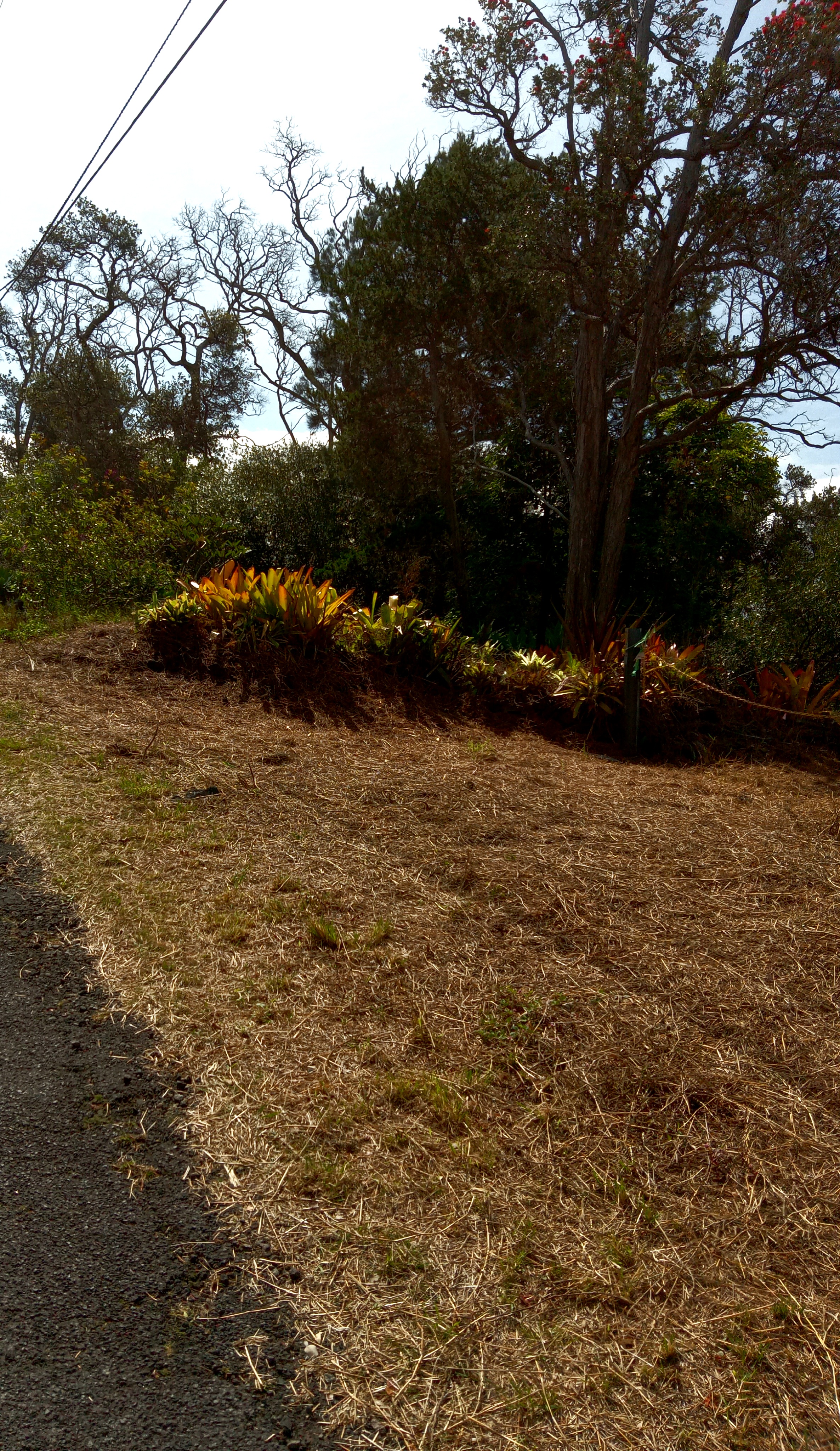 Coral Pkwy Property Photo 6
