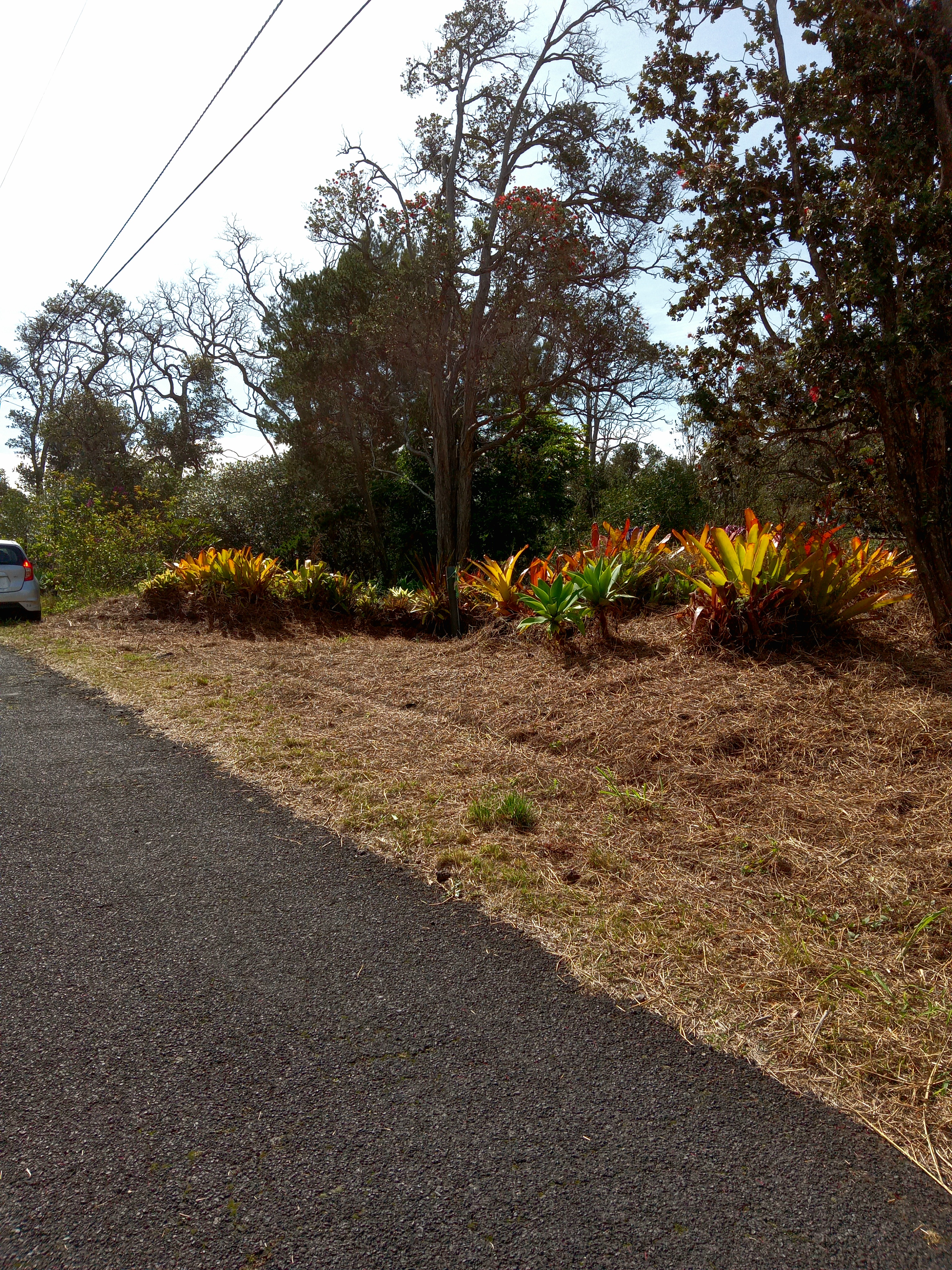 Coral Pkwy Property Photo 9