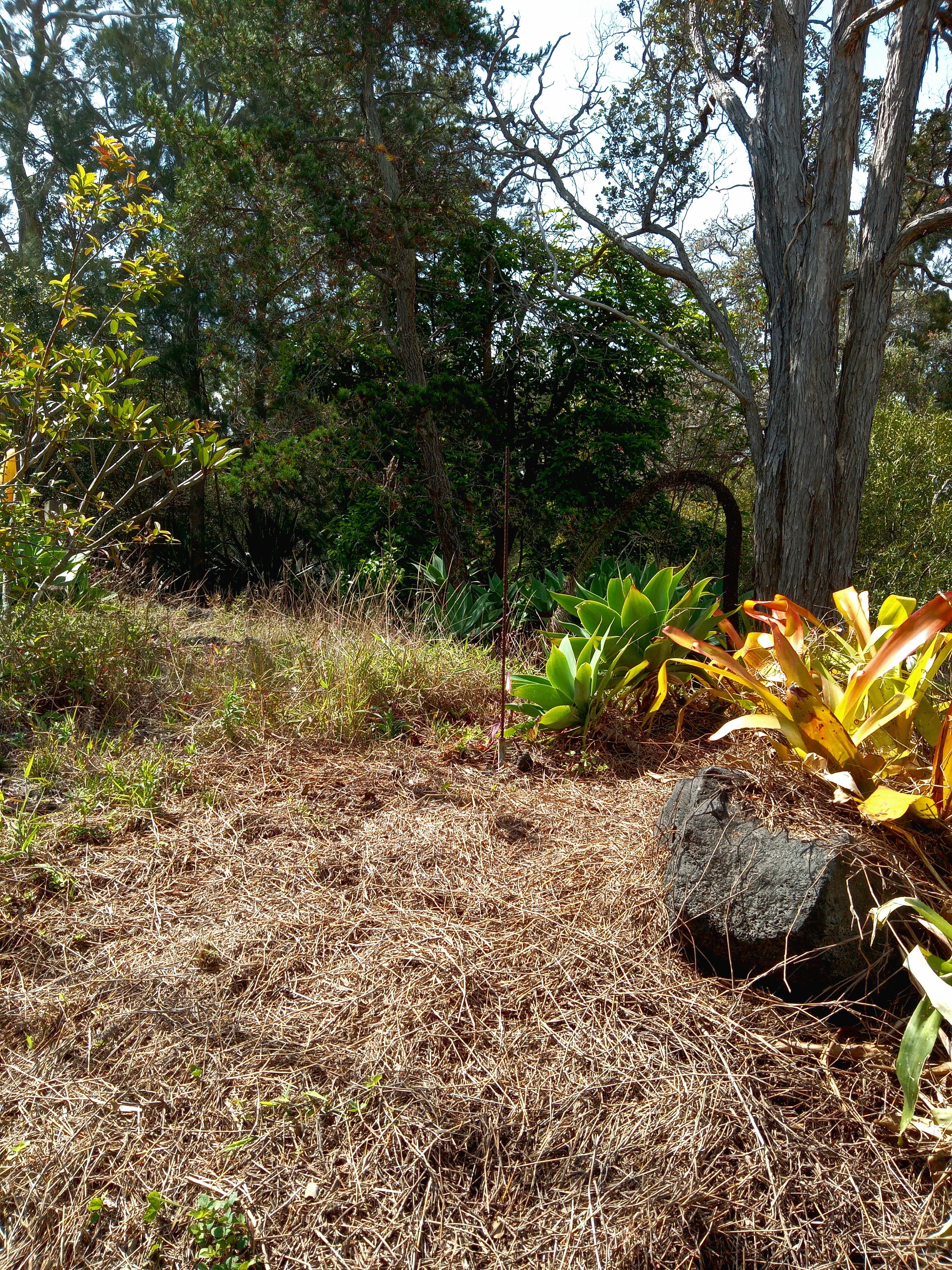 Coral Pkwy Property Photo 10