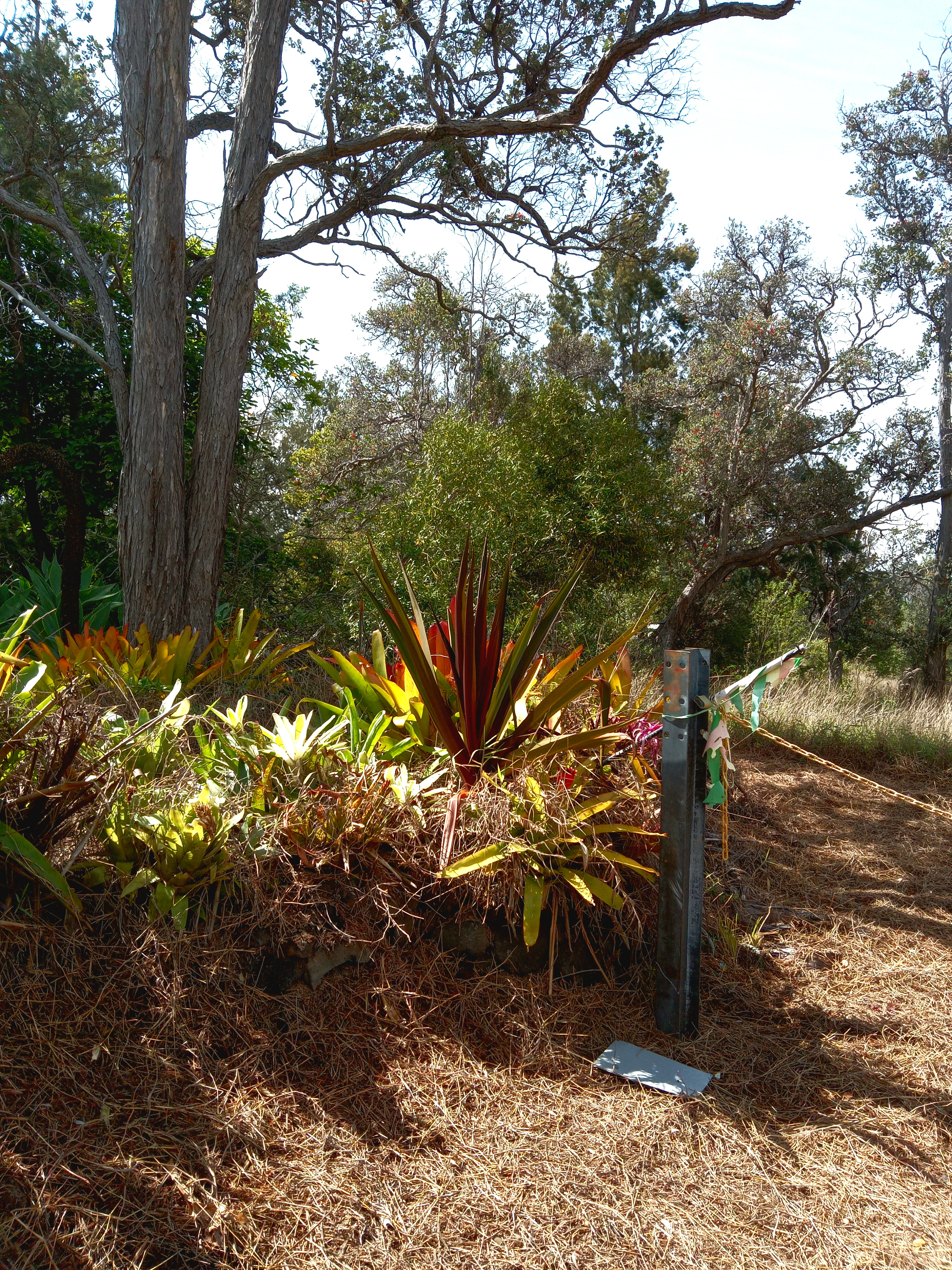 Coral Pkwy Property Photo 11