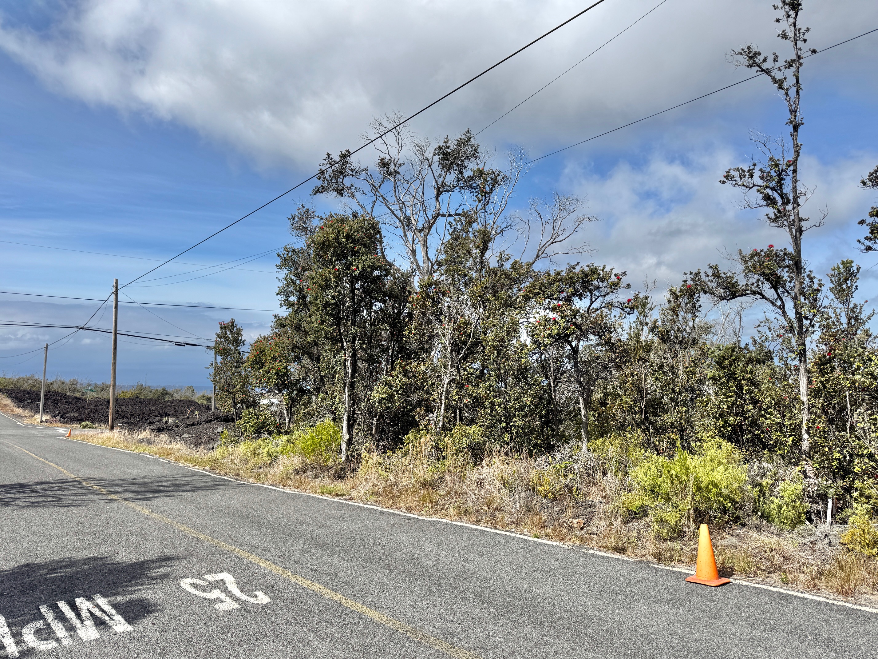 Sea Breeze Pkwy Property Photo 4