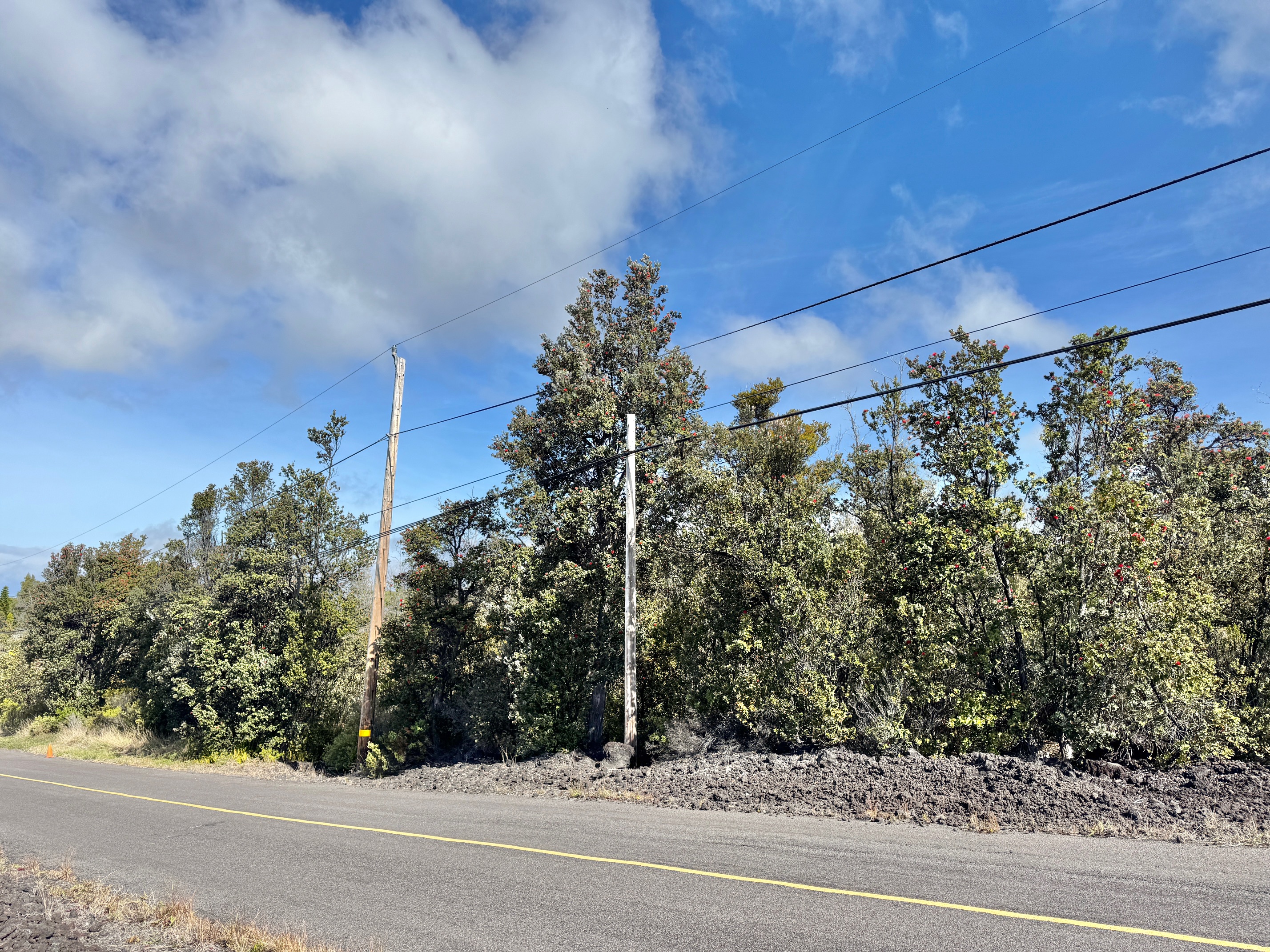 Sea Breeze Pkwy Property Photo 8