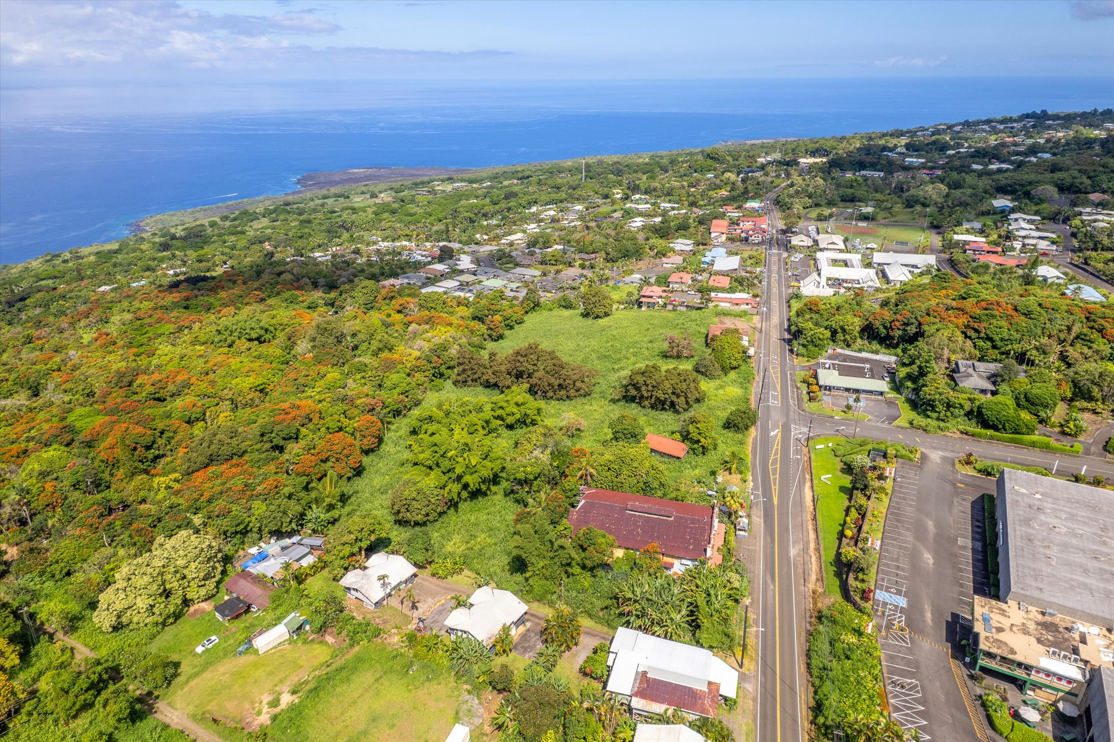 82-6115 Hawaii Belt Rd Property Photo 10