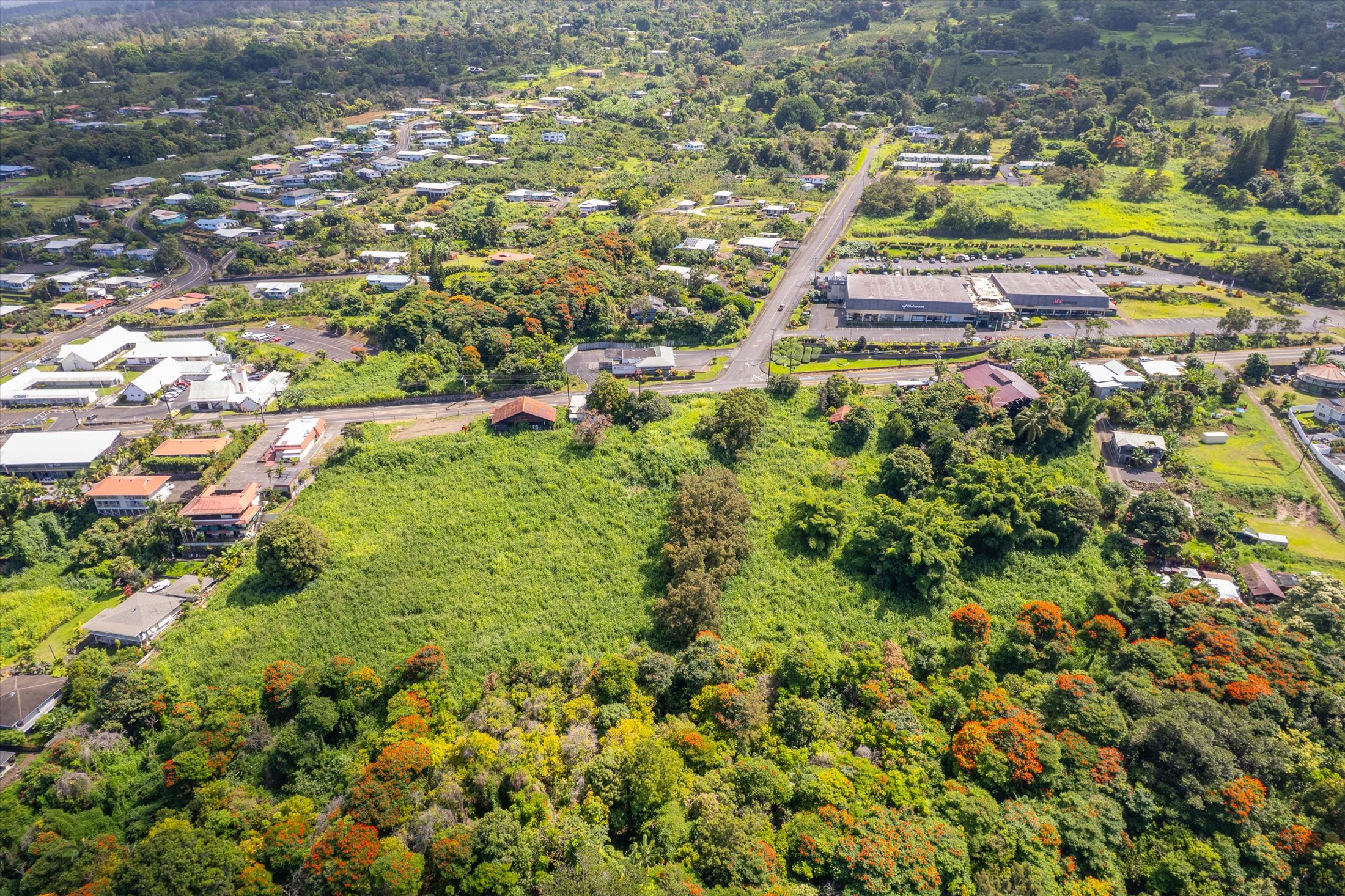 82-6115 Hawaii Belt Rd Property Photo 11