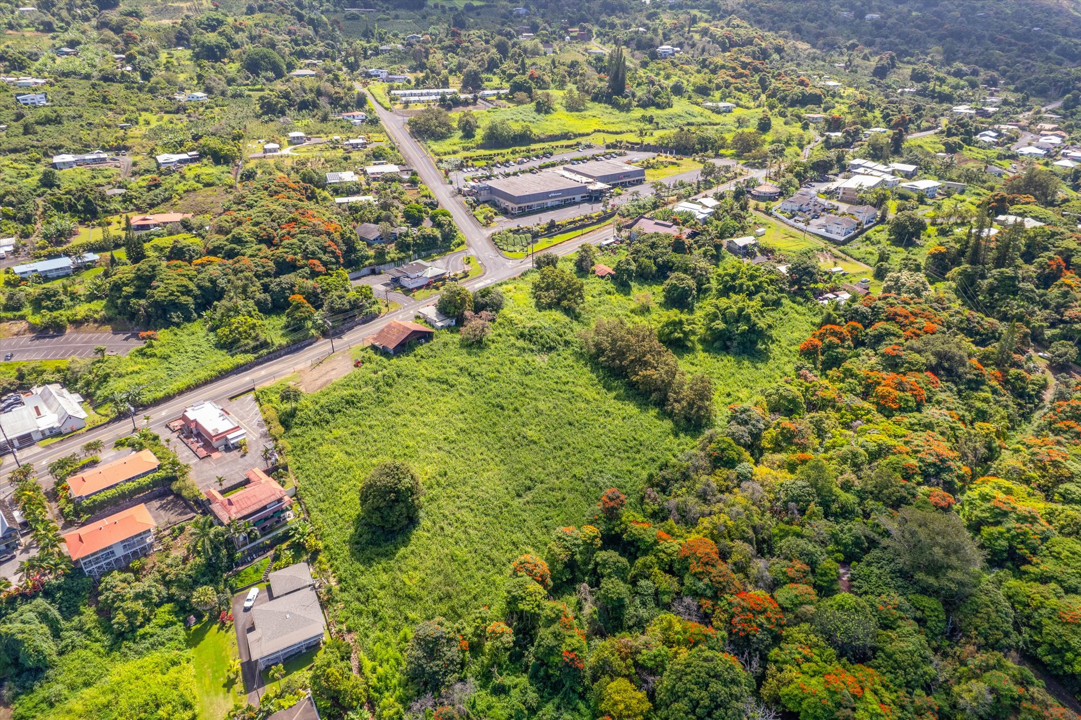 82-6115 Hawaii Belt Rd Property Photo 15
