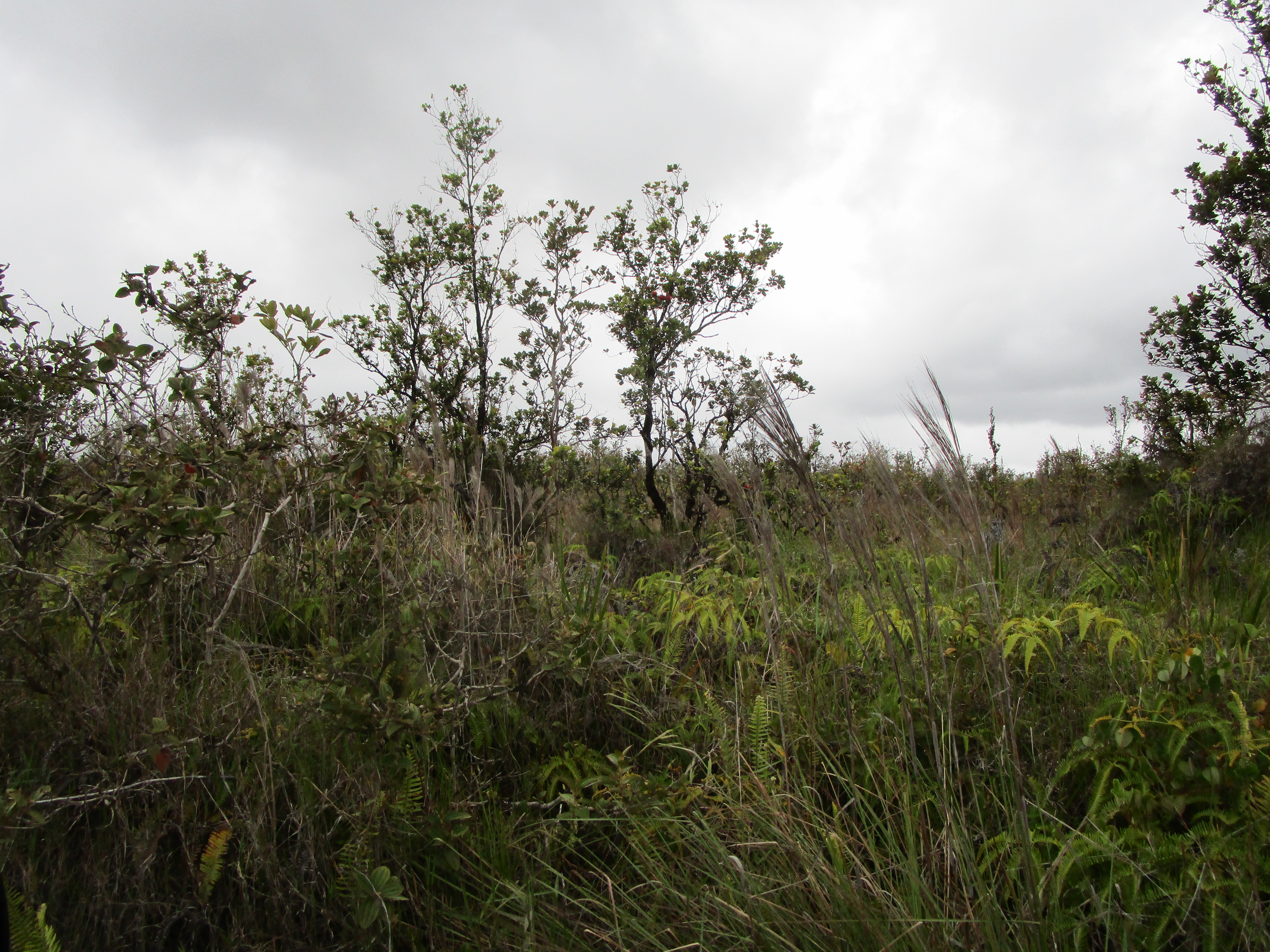 Omeka Rd Property Photo 1