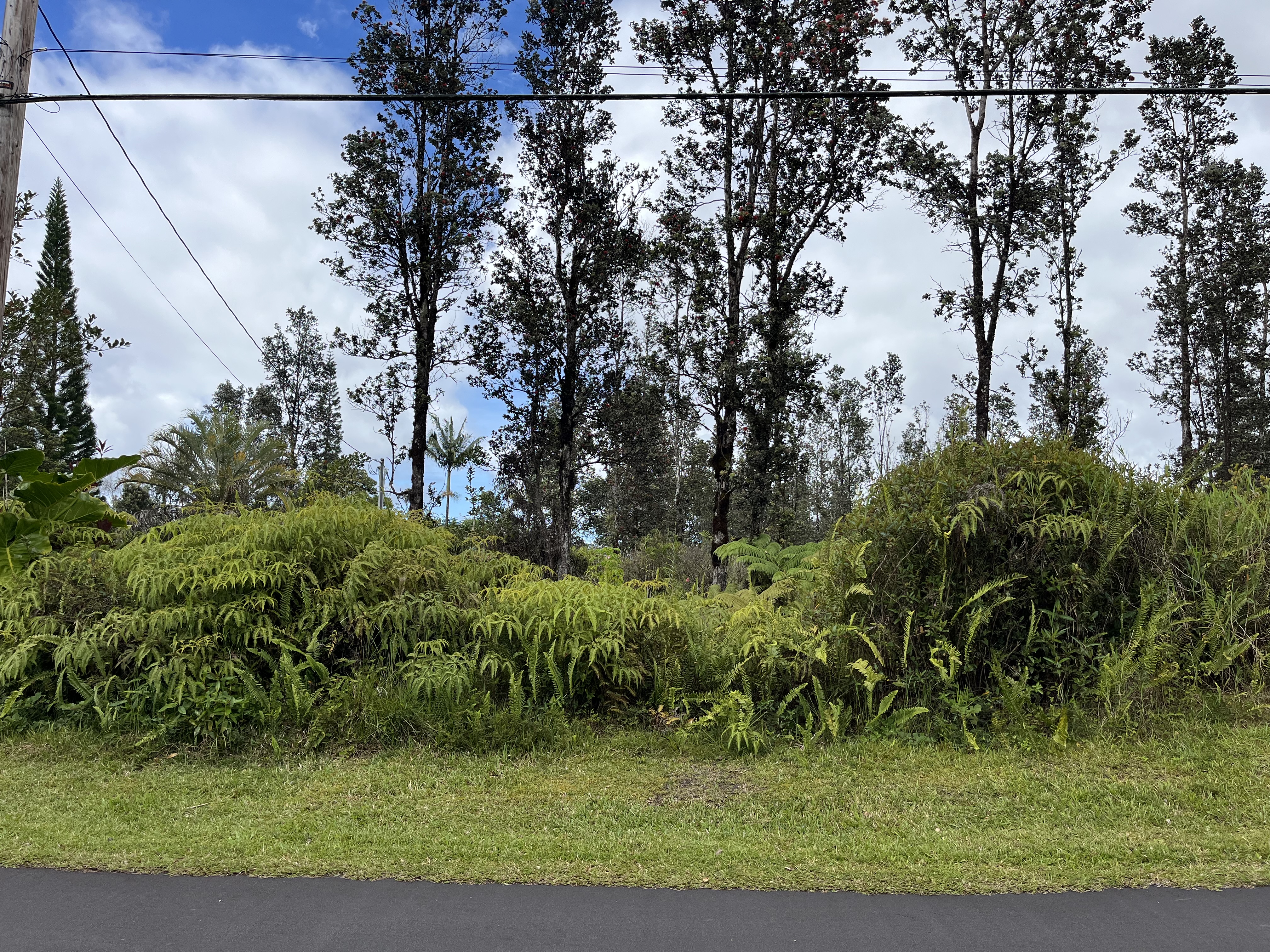Lehua St Property Photo 1