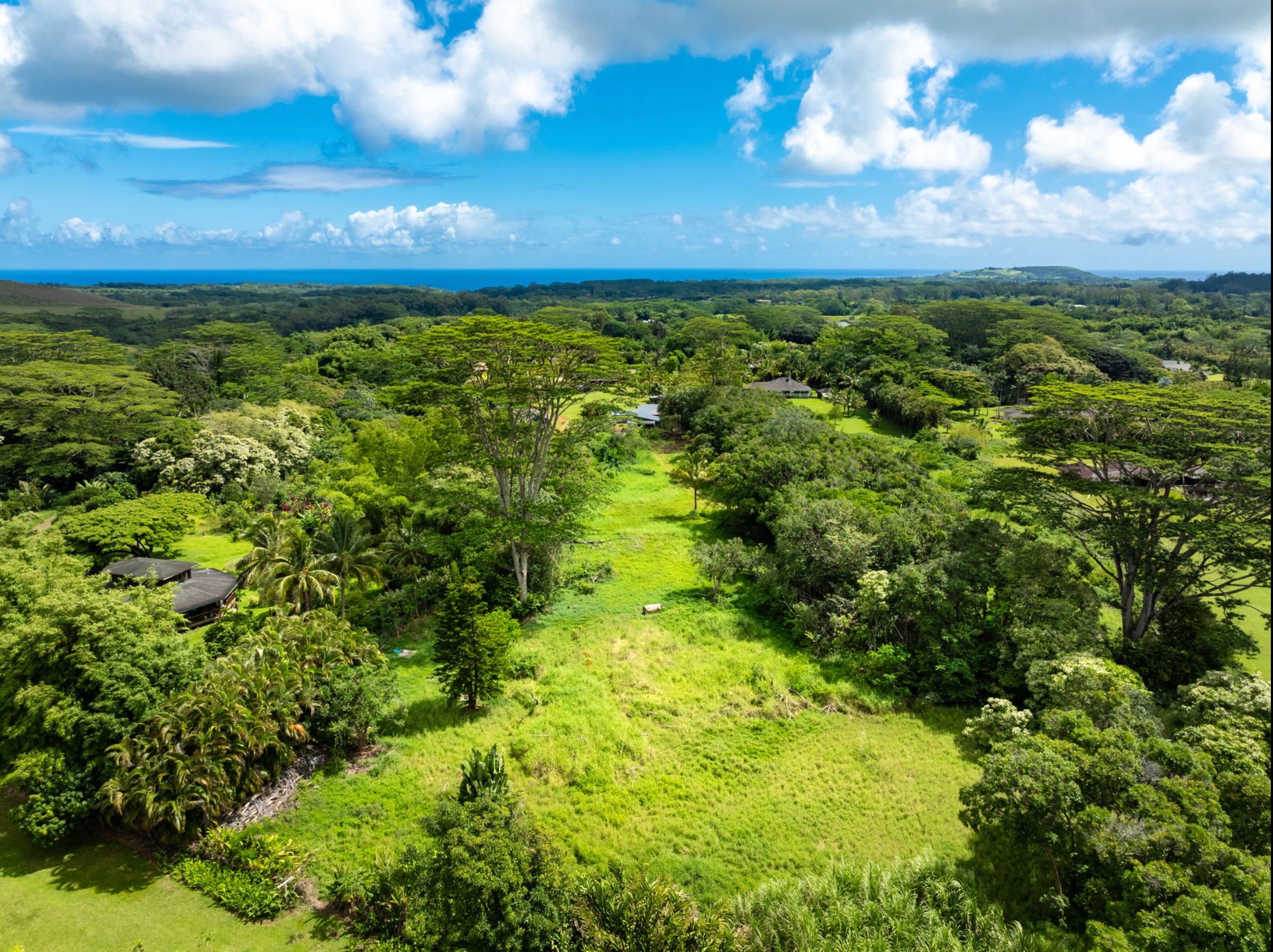 Kahiliholo Rd Property Photo 1