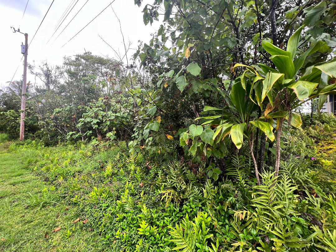 Wehelauniu St Property Photo 1