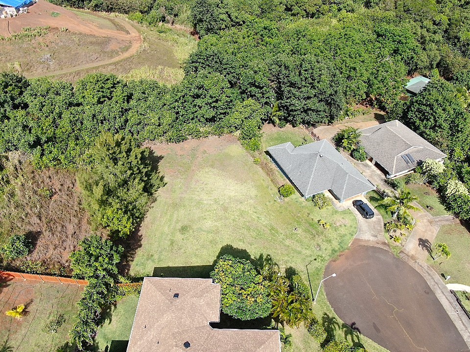 Lani Nuu St Property Photo