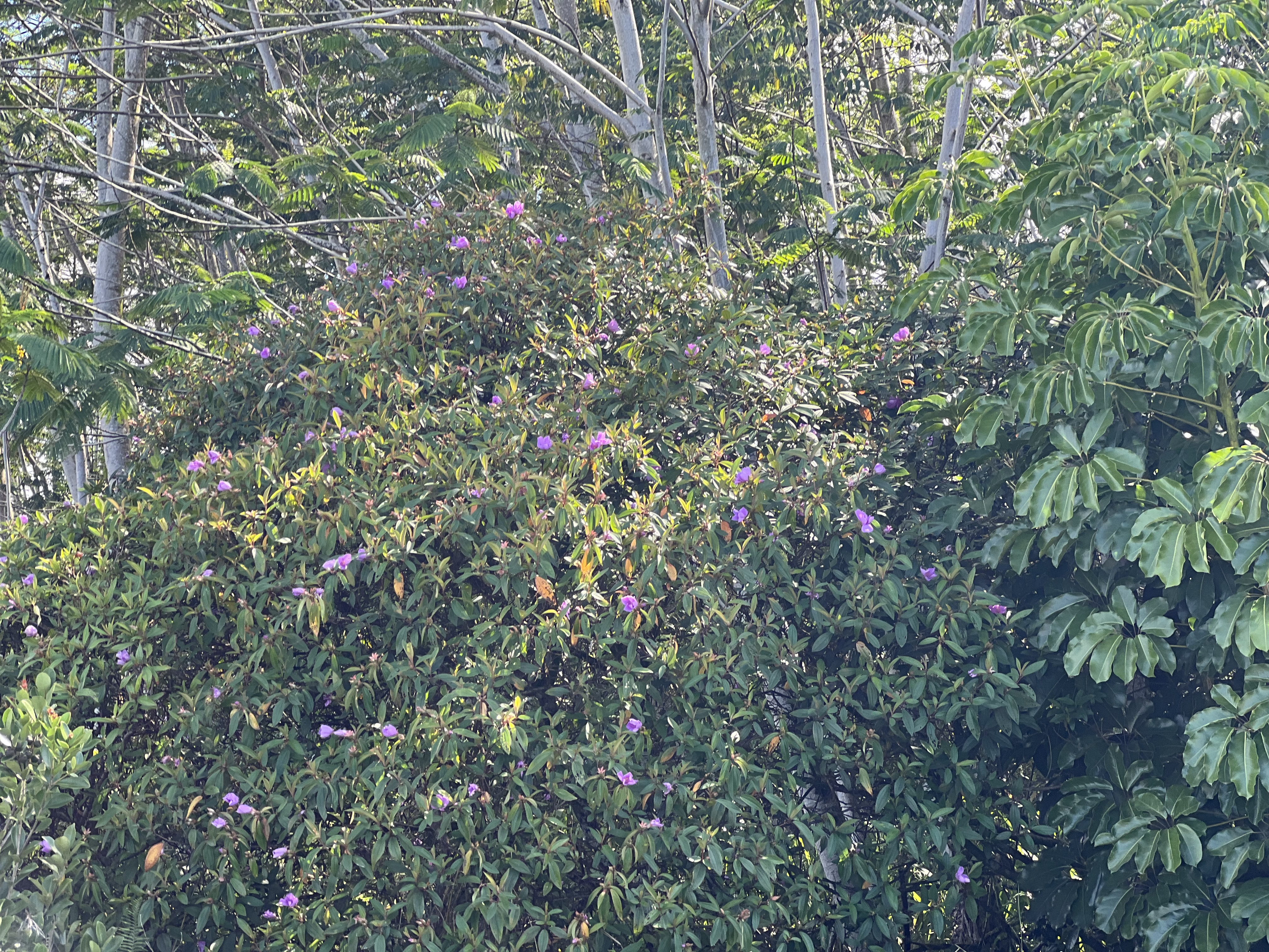 19th Ave Property Photo