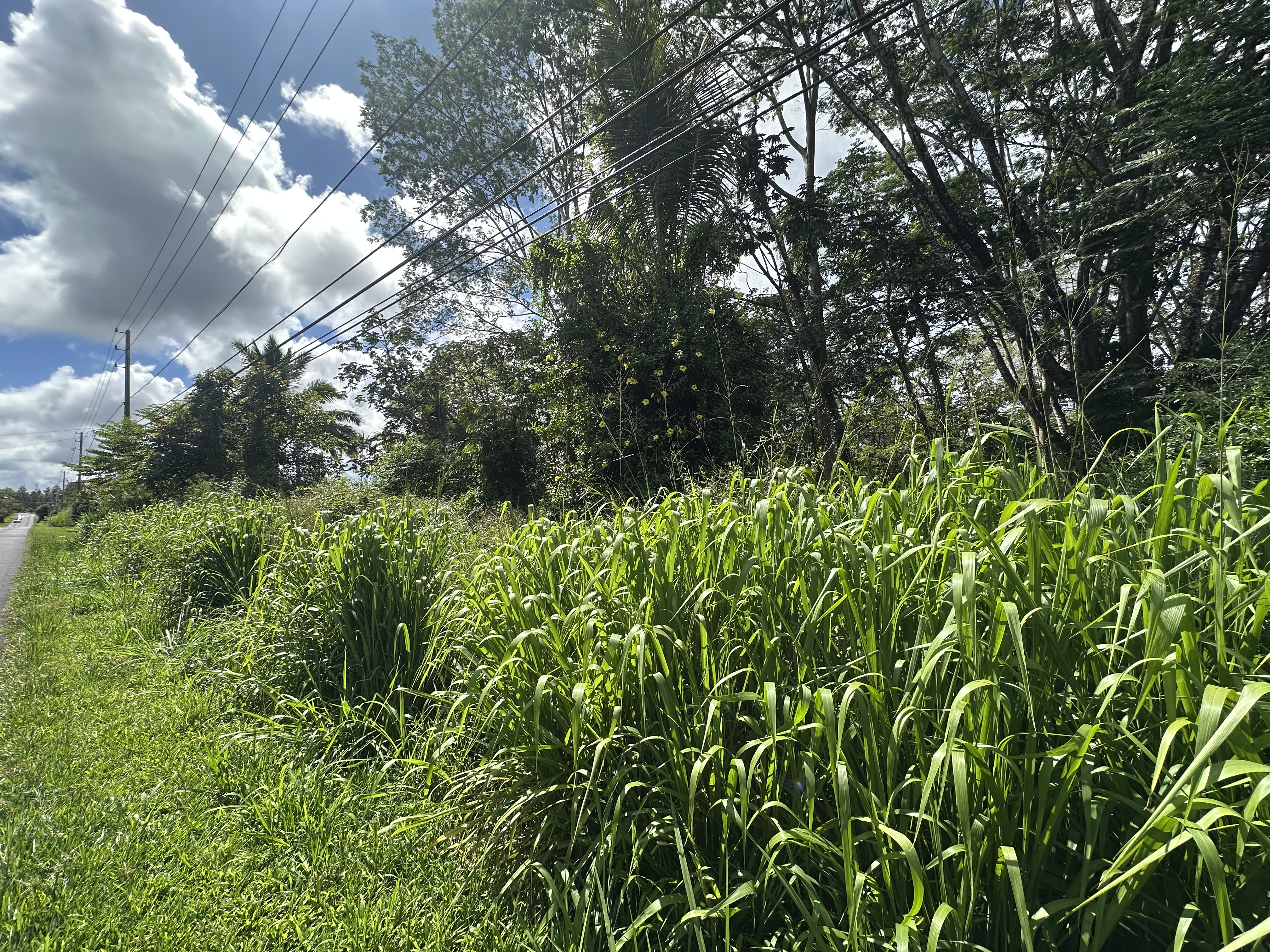 Leilani Blvd Property Photo 4