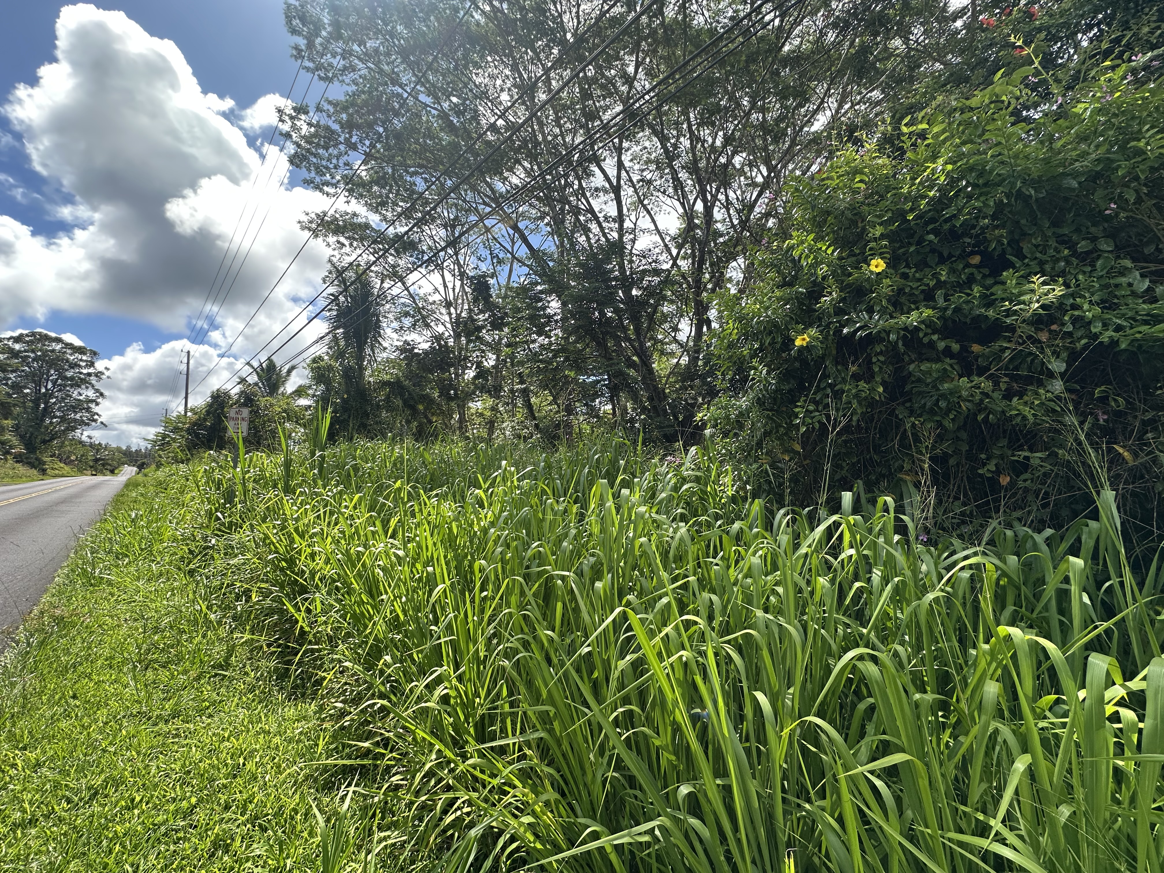 Leilani Blvd Property Photo 5