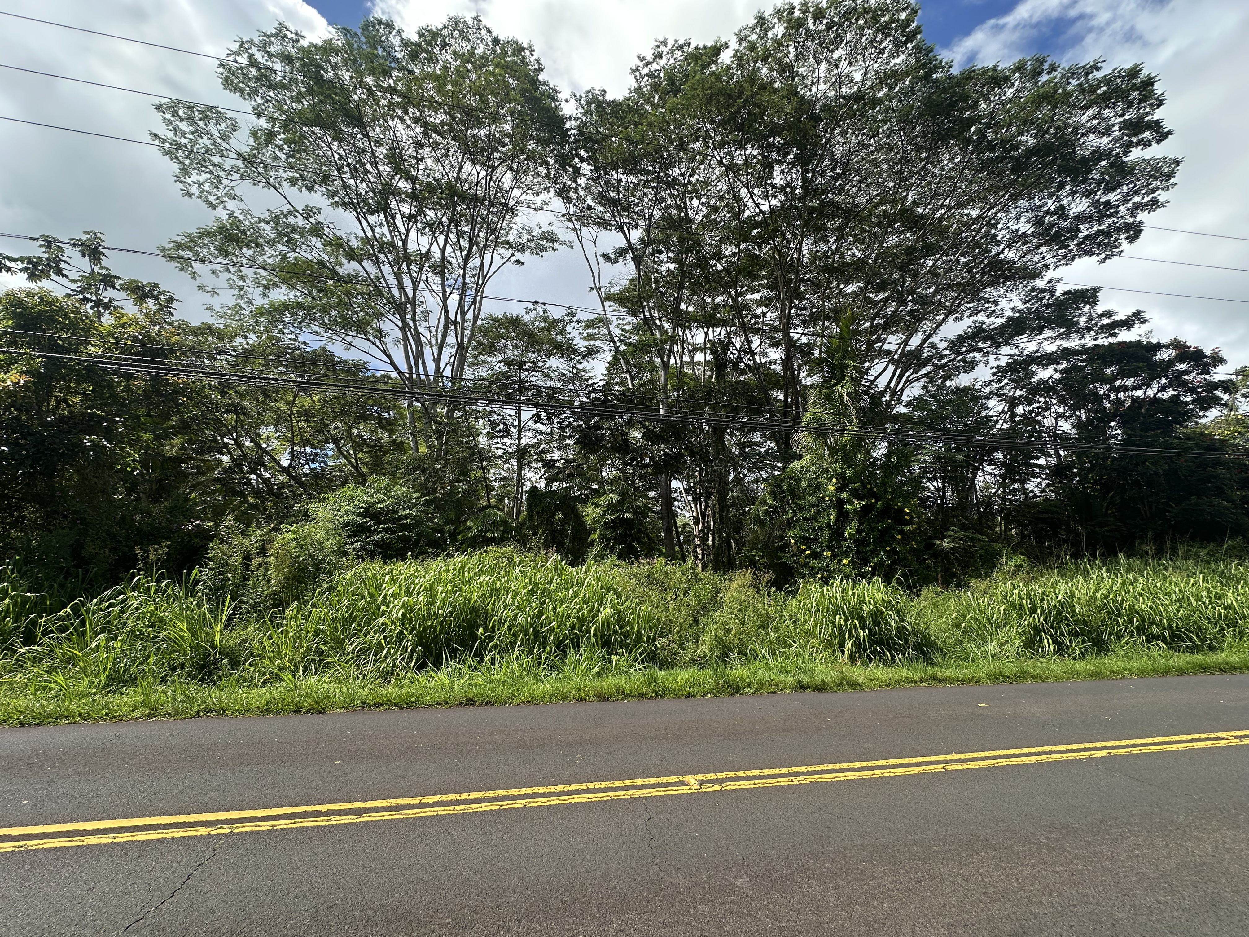Leilani Blvd Property Photo 6