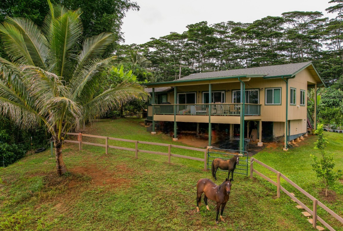 5565-d Hauiki Rd Property Photo 1