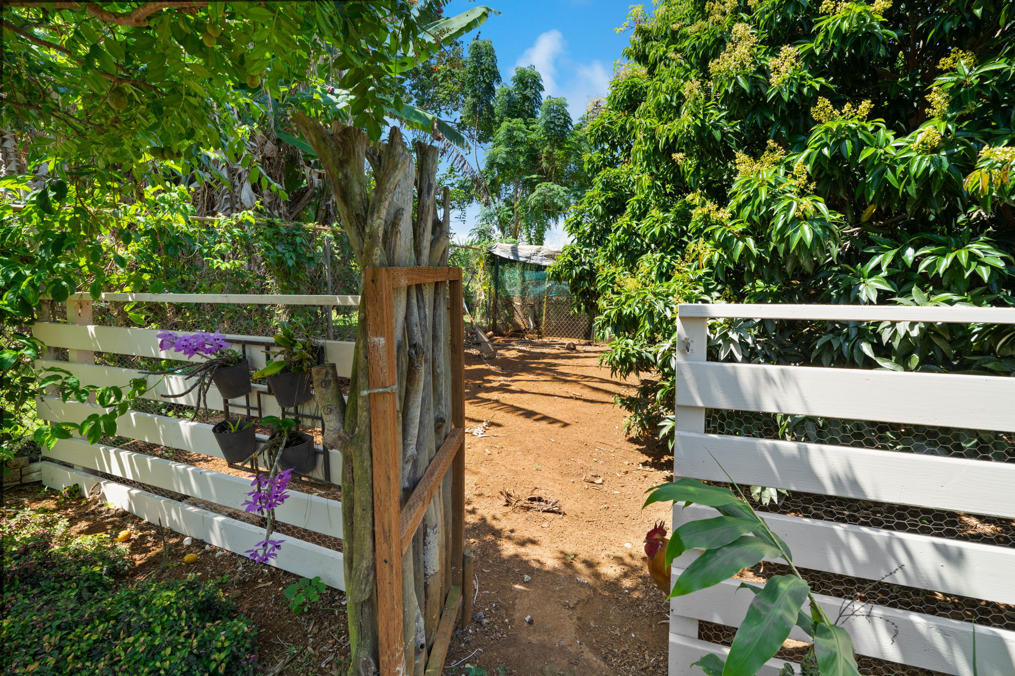 6100 Kawaihau Rd Property Photo 11