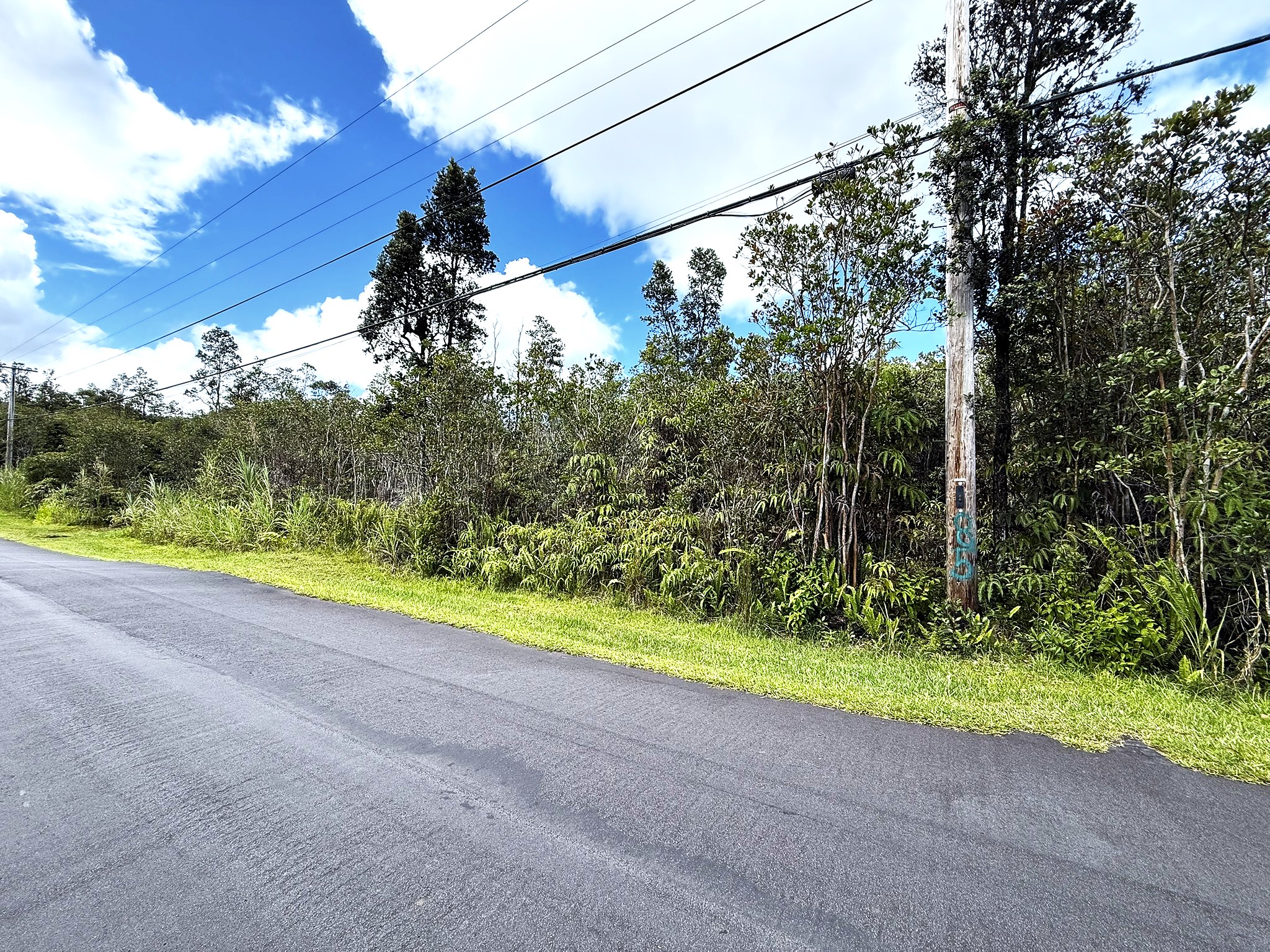 LEHUA ST