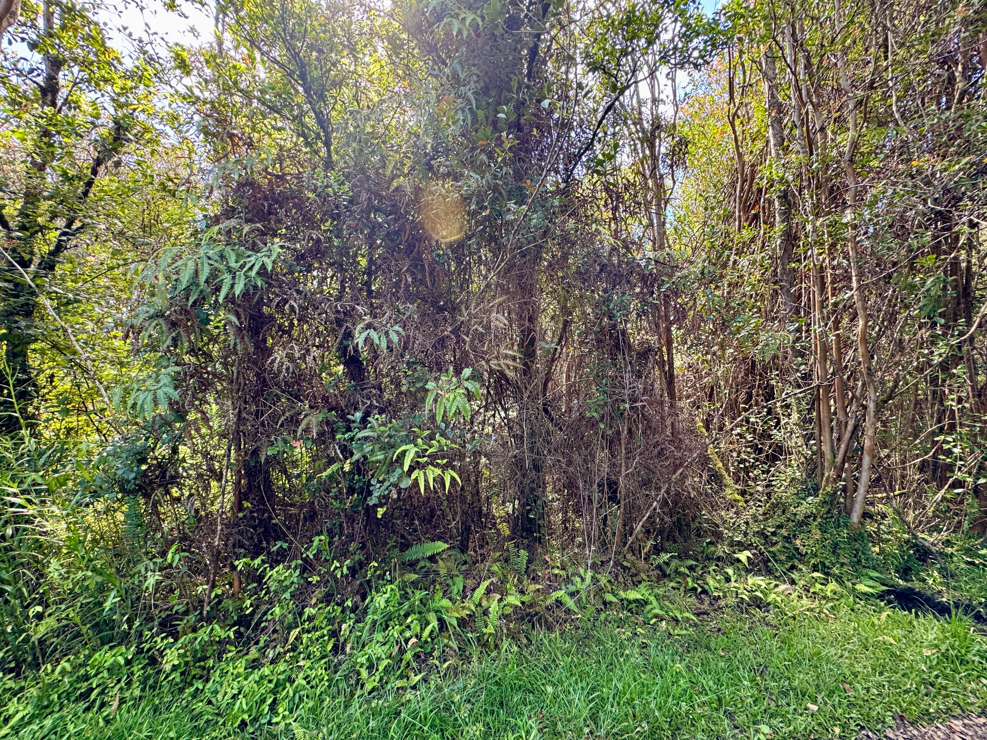 Road 11 Property Photo 2