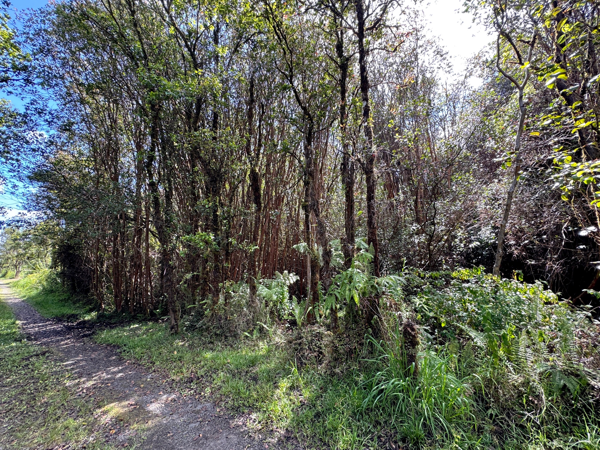 Road 11 Property Photo 3