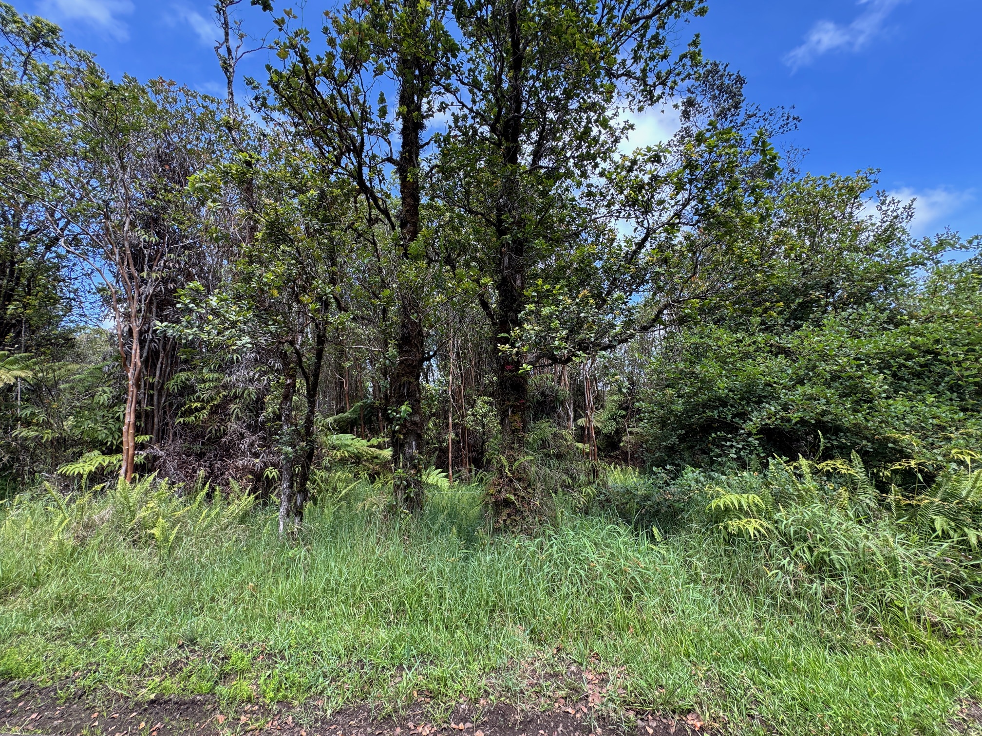 Wao Nani, Road 6 Property Photo 1