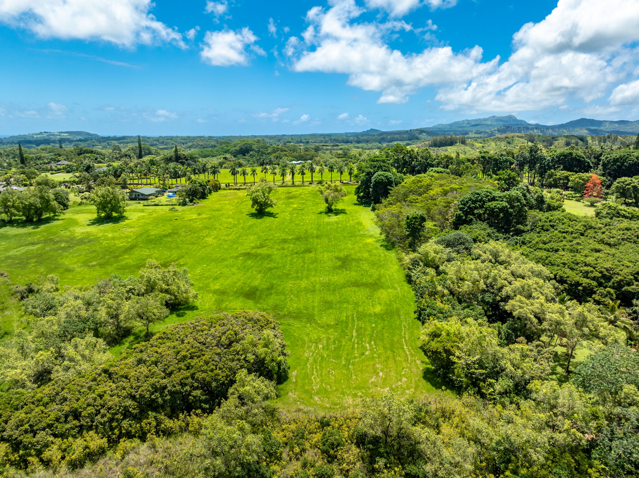 3791 Ahonui Pl Property Photo 5