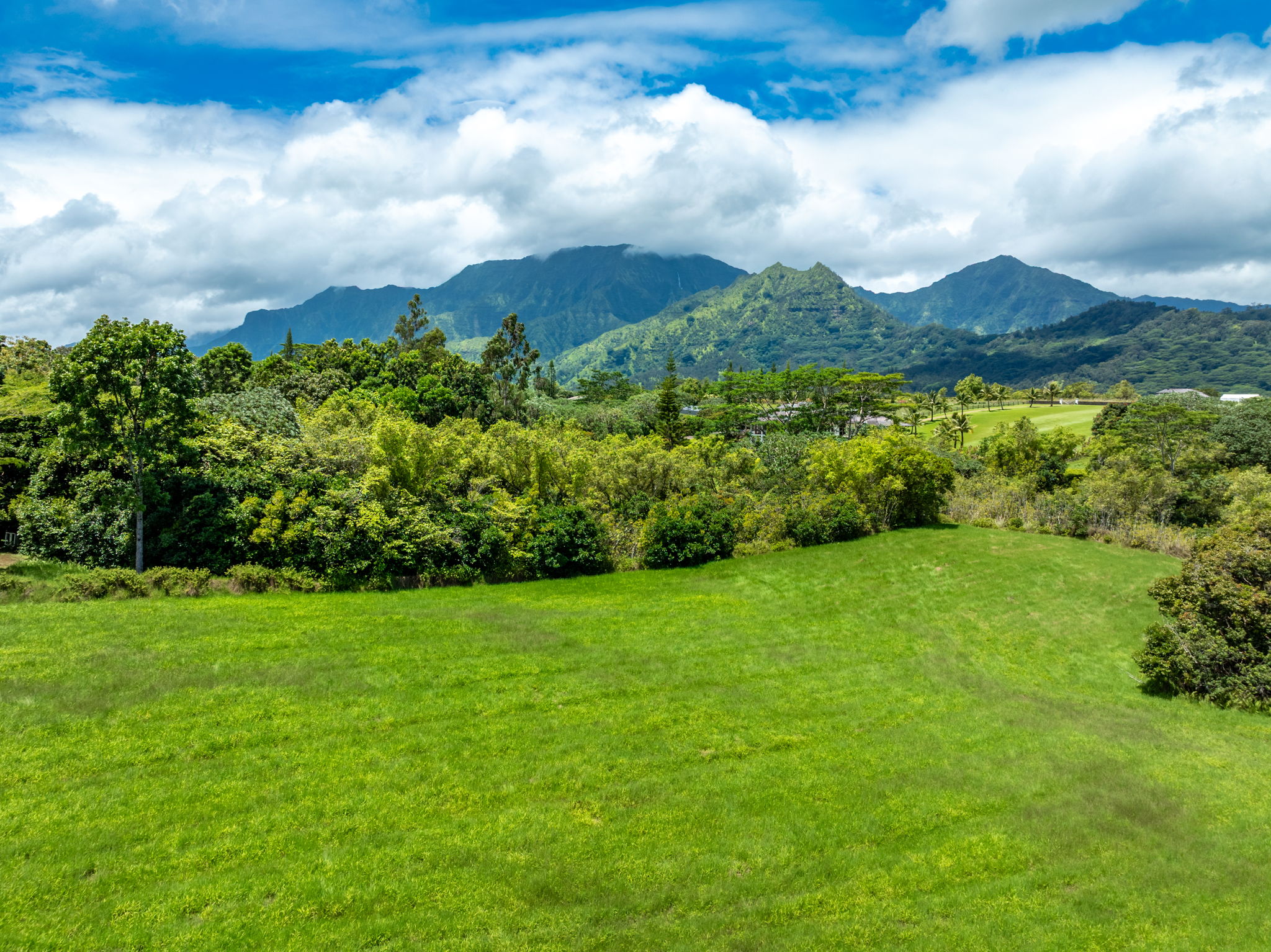 3791 Ahonui Pl Property Photo 6