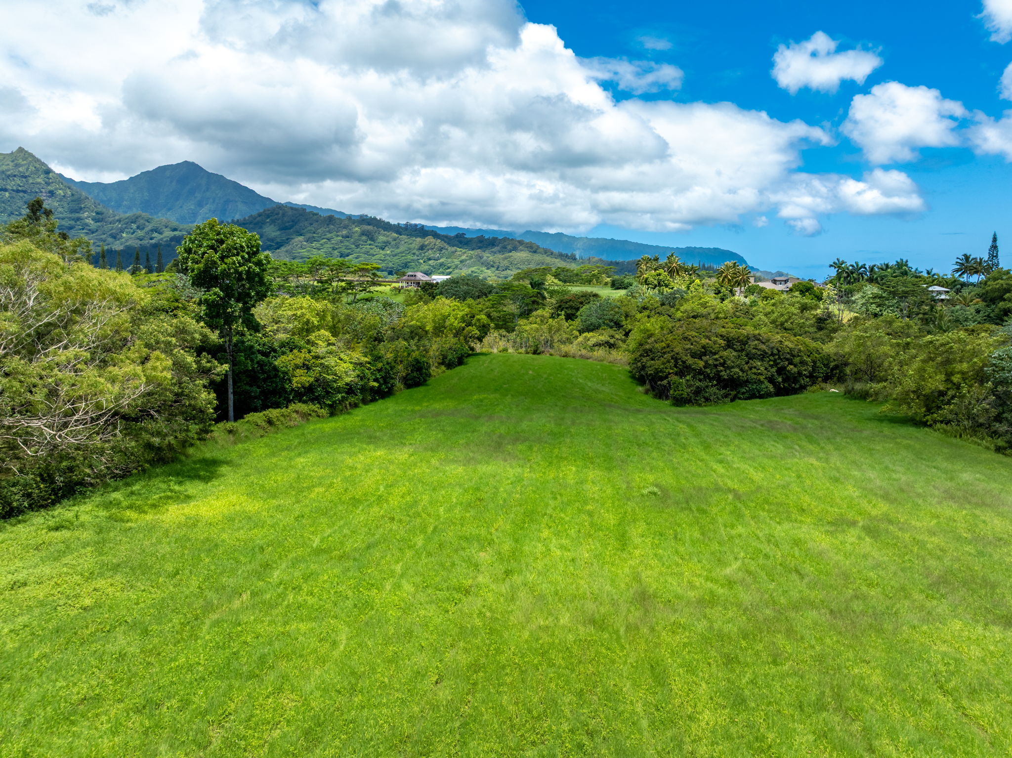 3791 Ahonui Pl Property Photo 7
