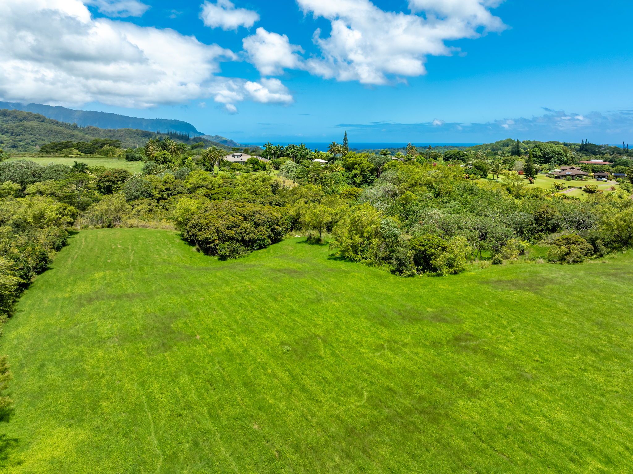 3791 Ahonui Pl Property Photo 8