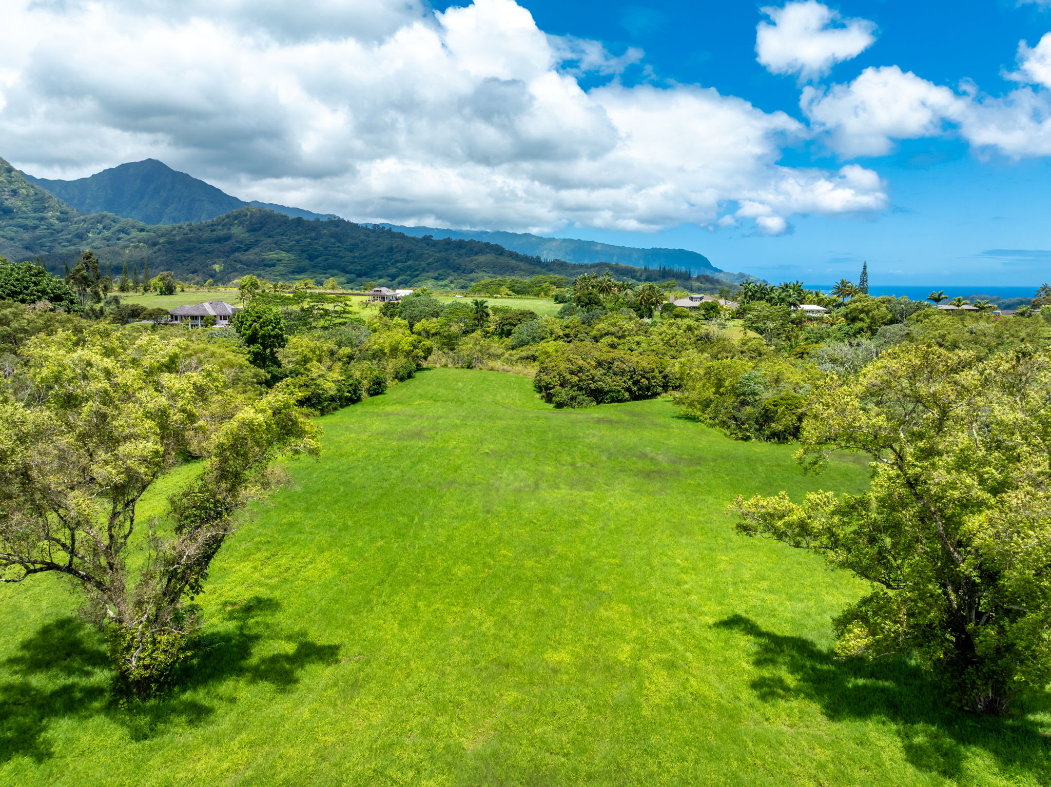 3791 Ahonui Pl Property Photo 10