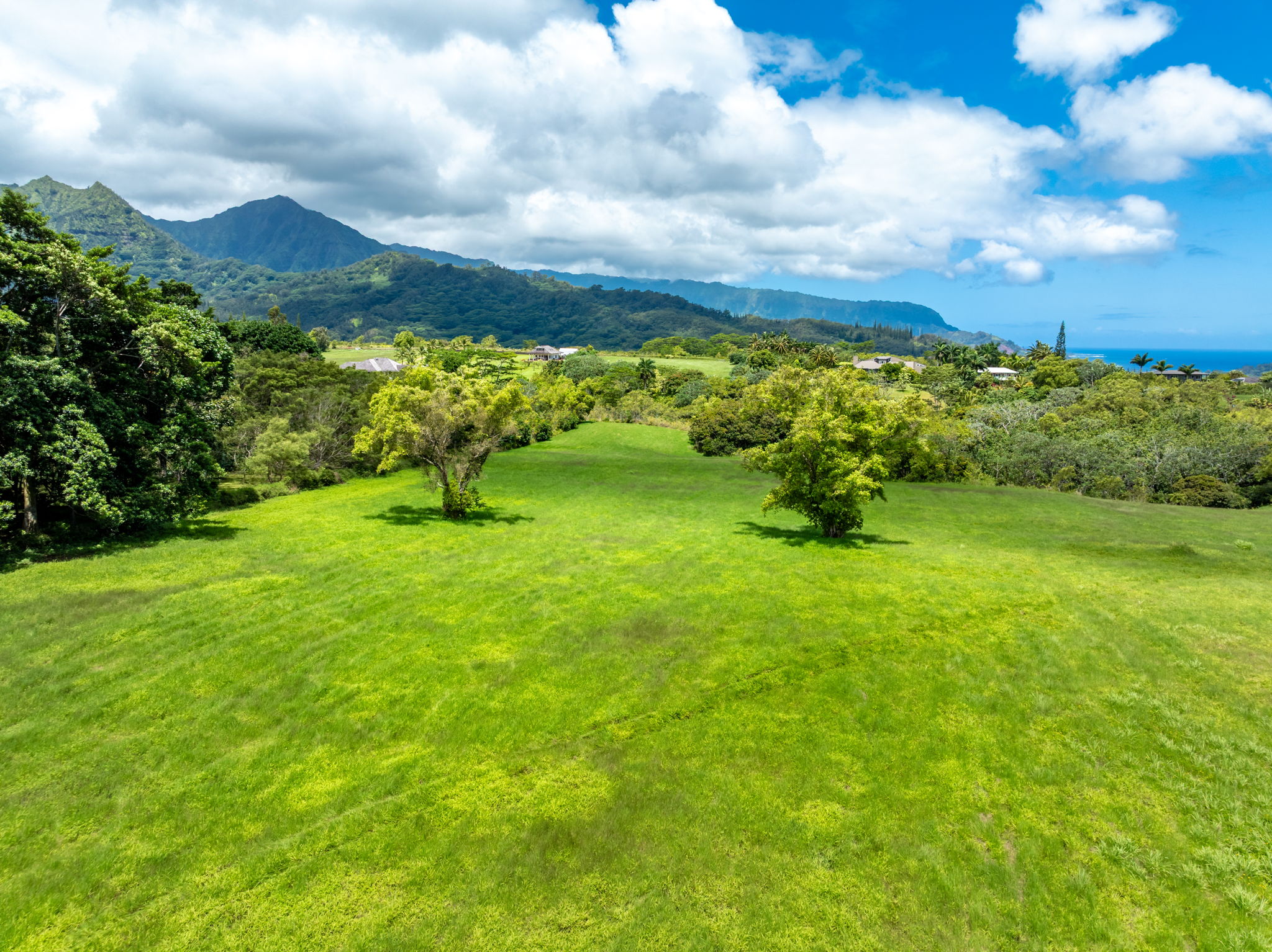3791 Ahonui Pl Property Photo 11
