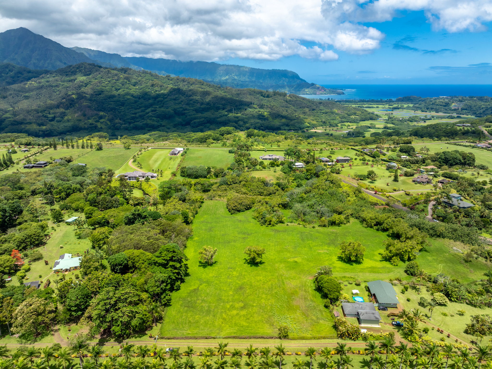 3791 Ahonui Pl Property Photo 12