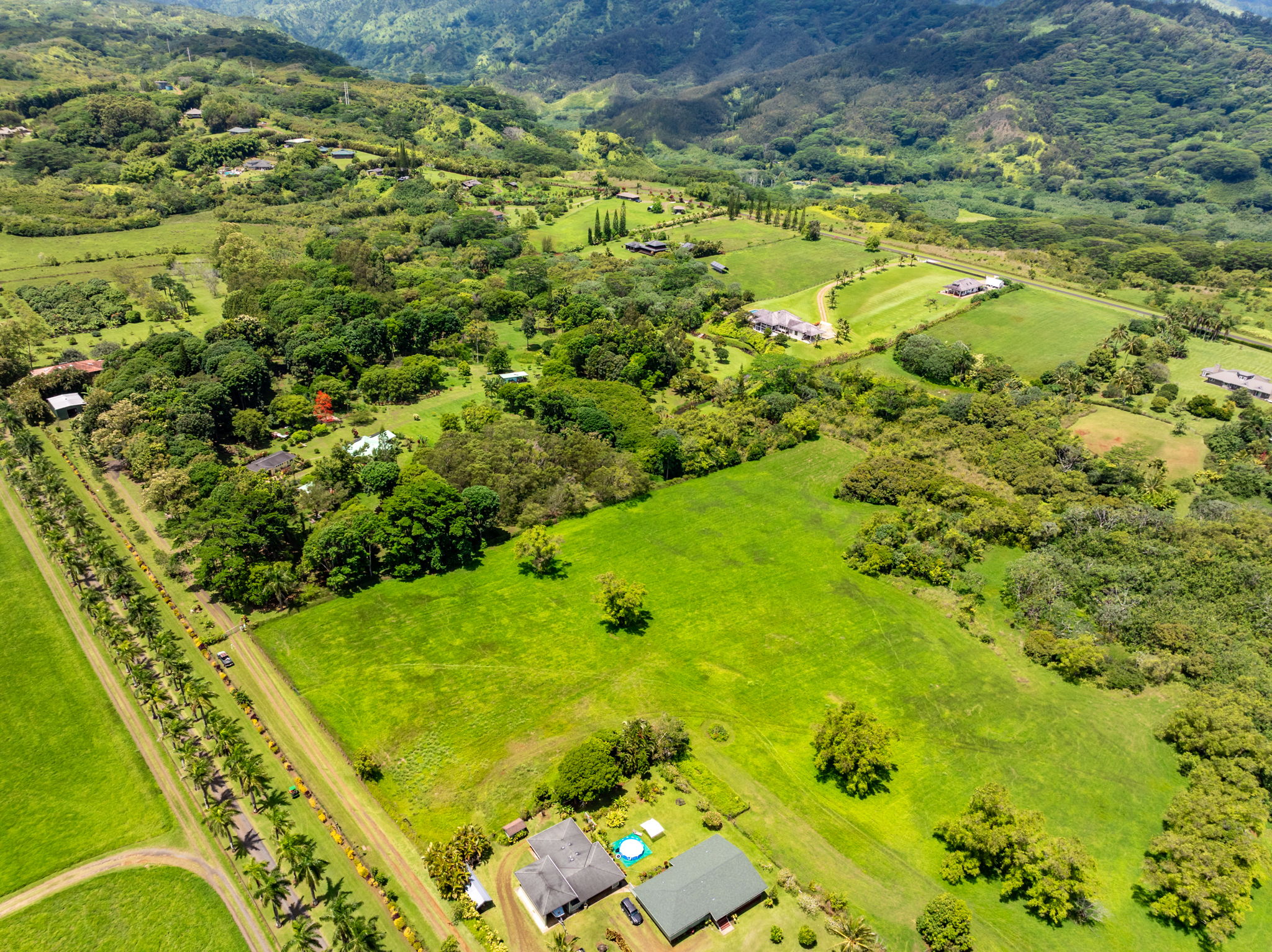 3791 Ahonui Pl Property Photo 14