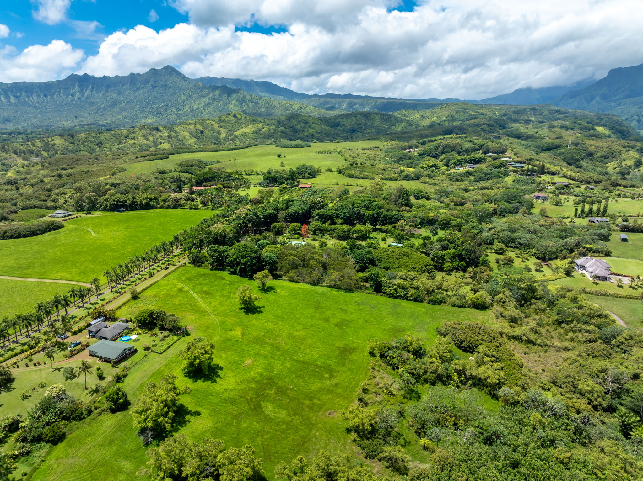 3791 Ahonui Pl Property Photo 15