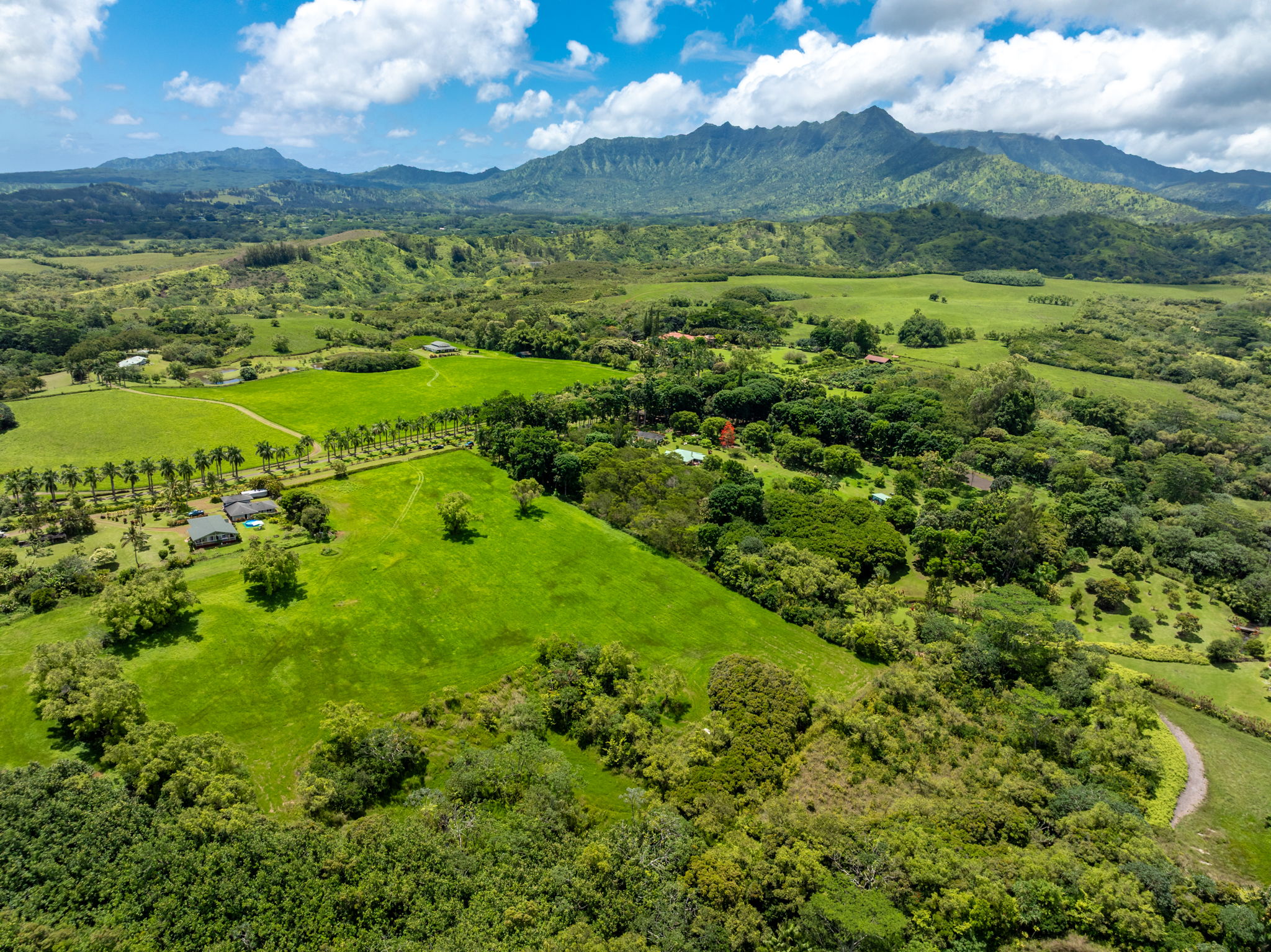 3791 Ahonui Pl Property Photo 16
