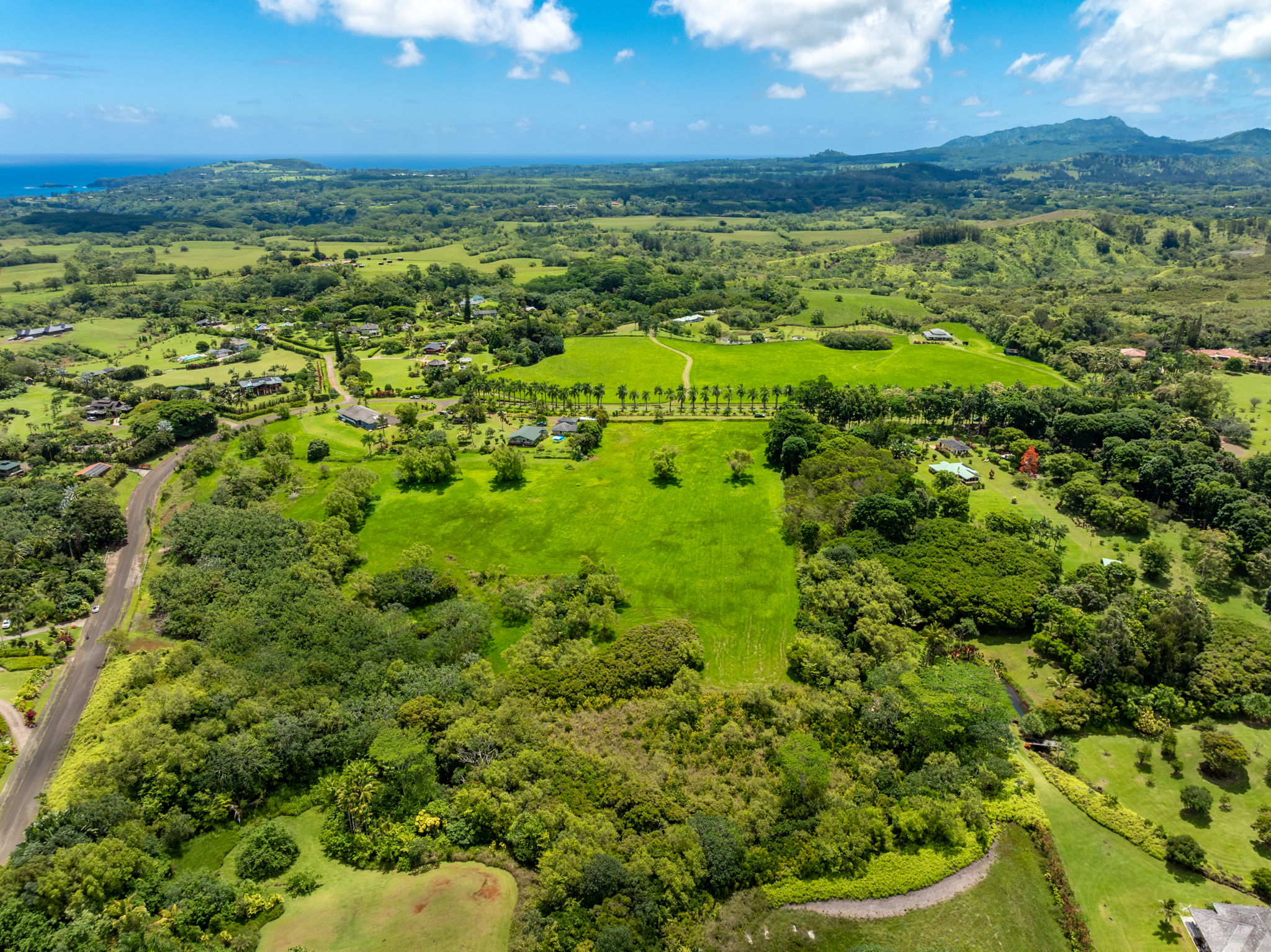 3791 Ahonui Pl Property Photo 17