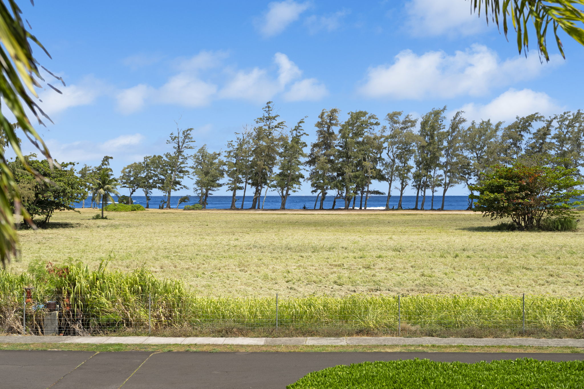 525 ALEKA LP F15 Property Photo 1