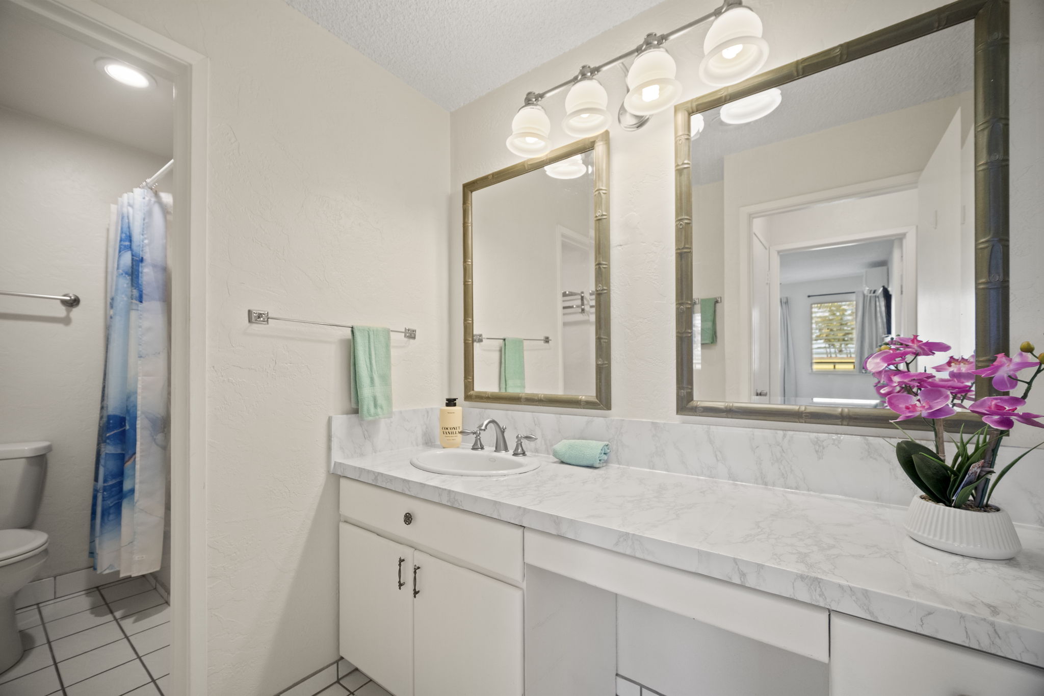 525 Aleka Lp F15 Property Photo 13