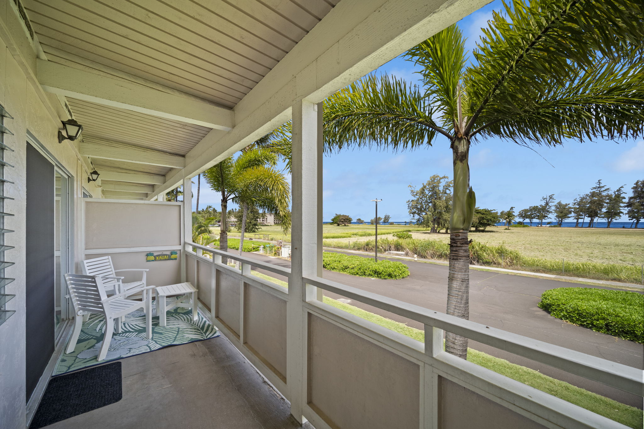 525 Aleka Lp F15 Property Photo 19