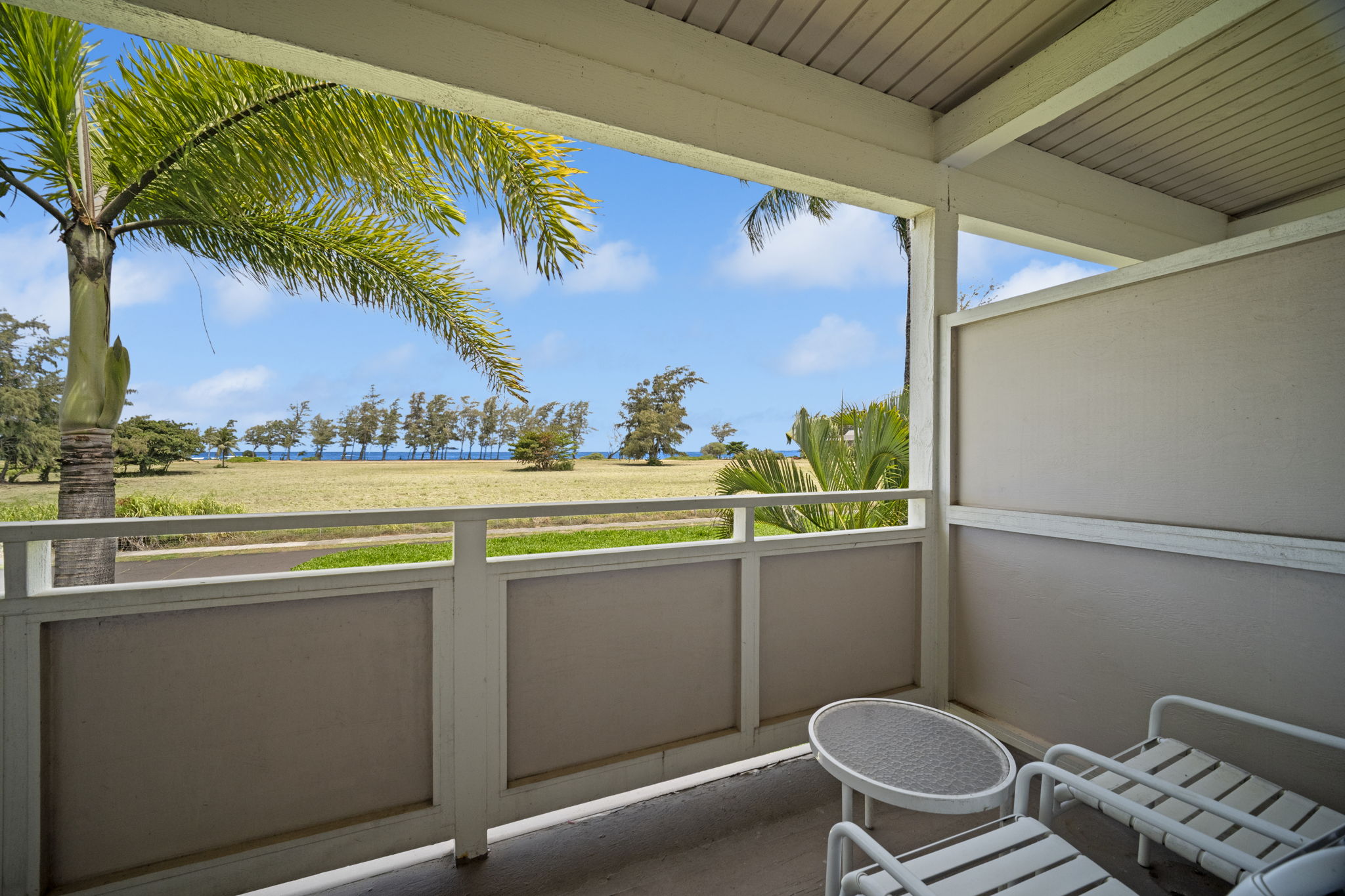 525 Aleka Lp F15 Property Photo 21