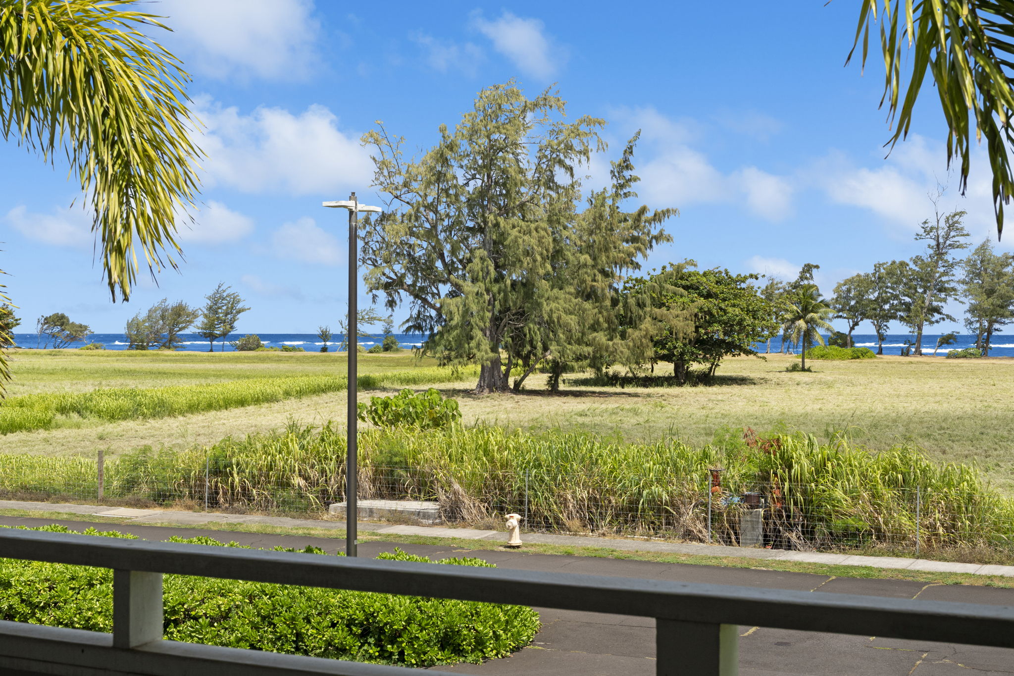 525 Aleka Lp F15 Property Photo 22