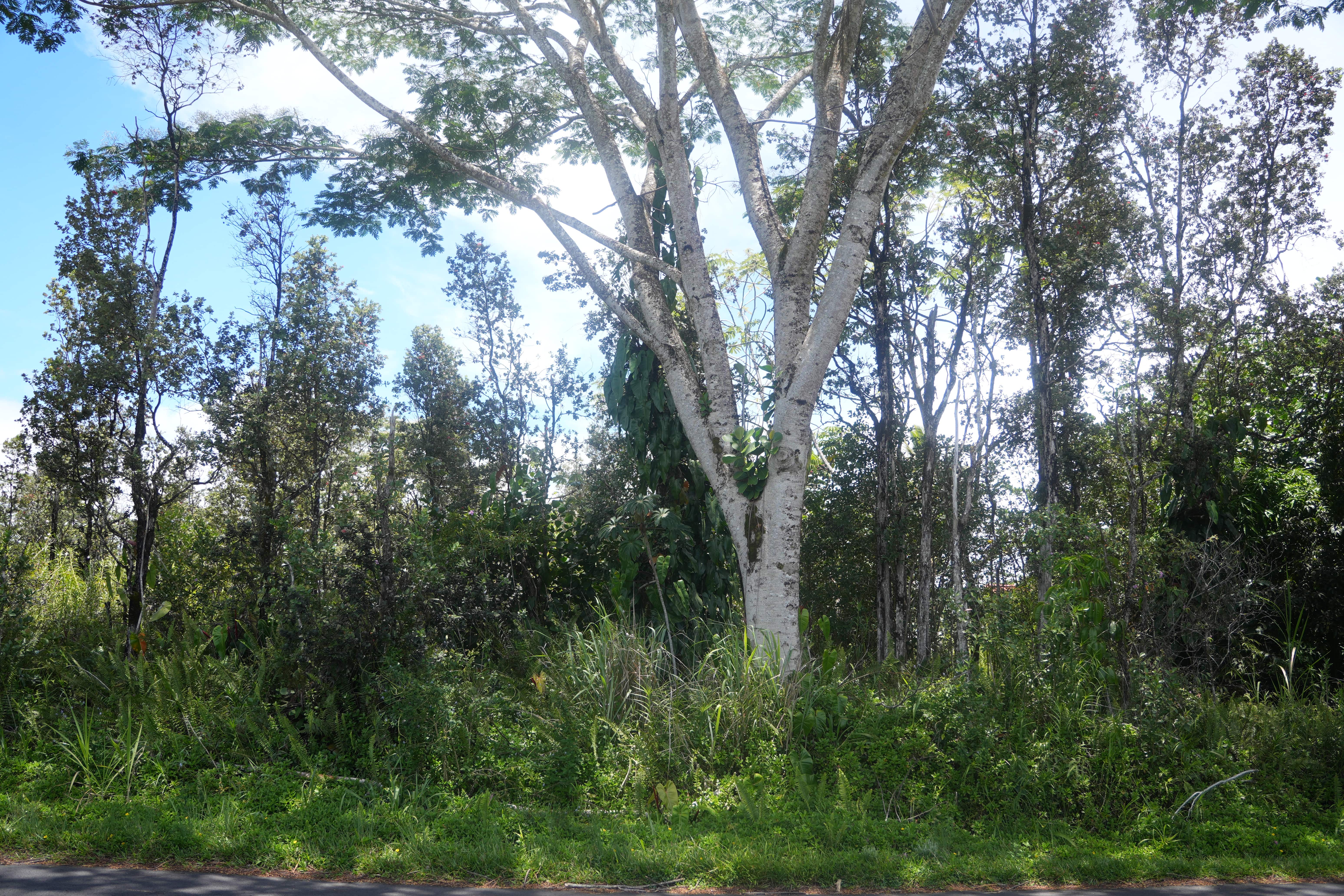 24th Ave Property Photo 1