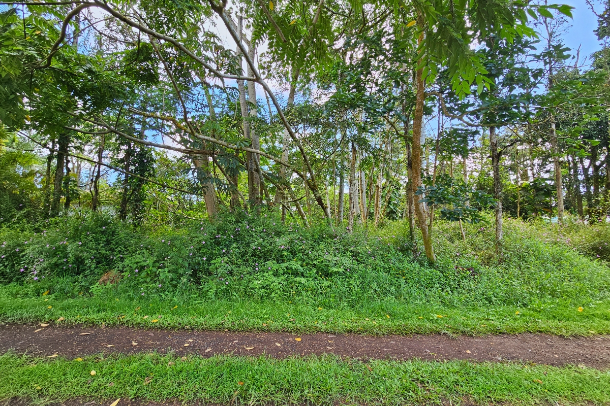 PRISCILLA RD Property Photo 1