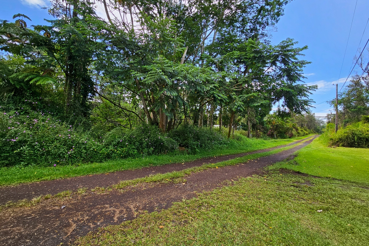 Priscilla Rd Property Photo 3