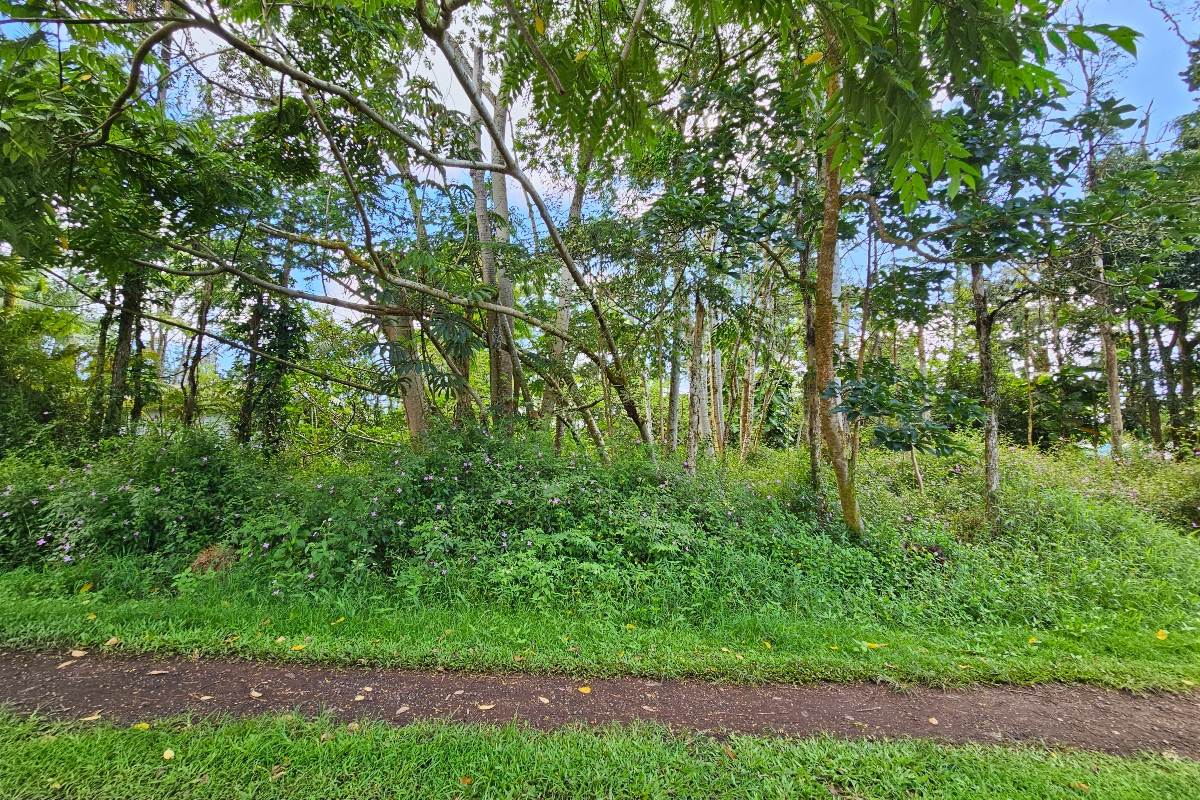 Priscilla Rd Property Photo 4