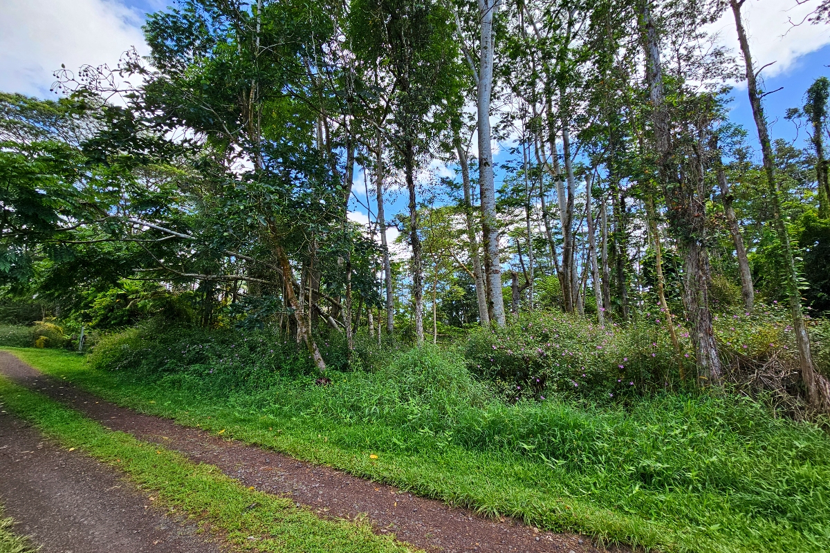 Priscilla Rd Property Photo 5