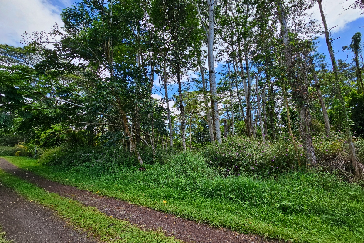 Priscilla Rd Property Photo 6