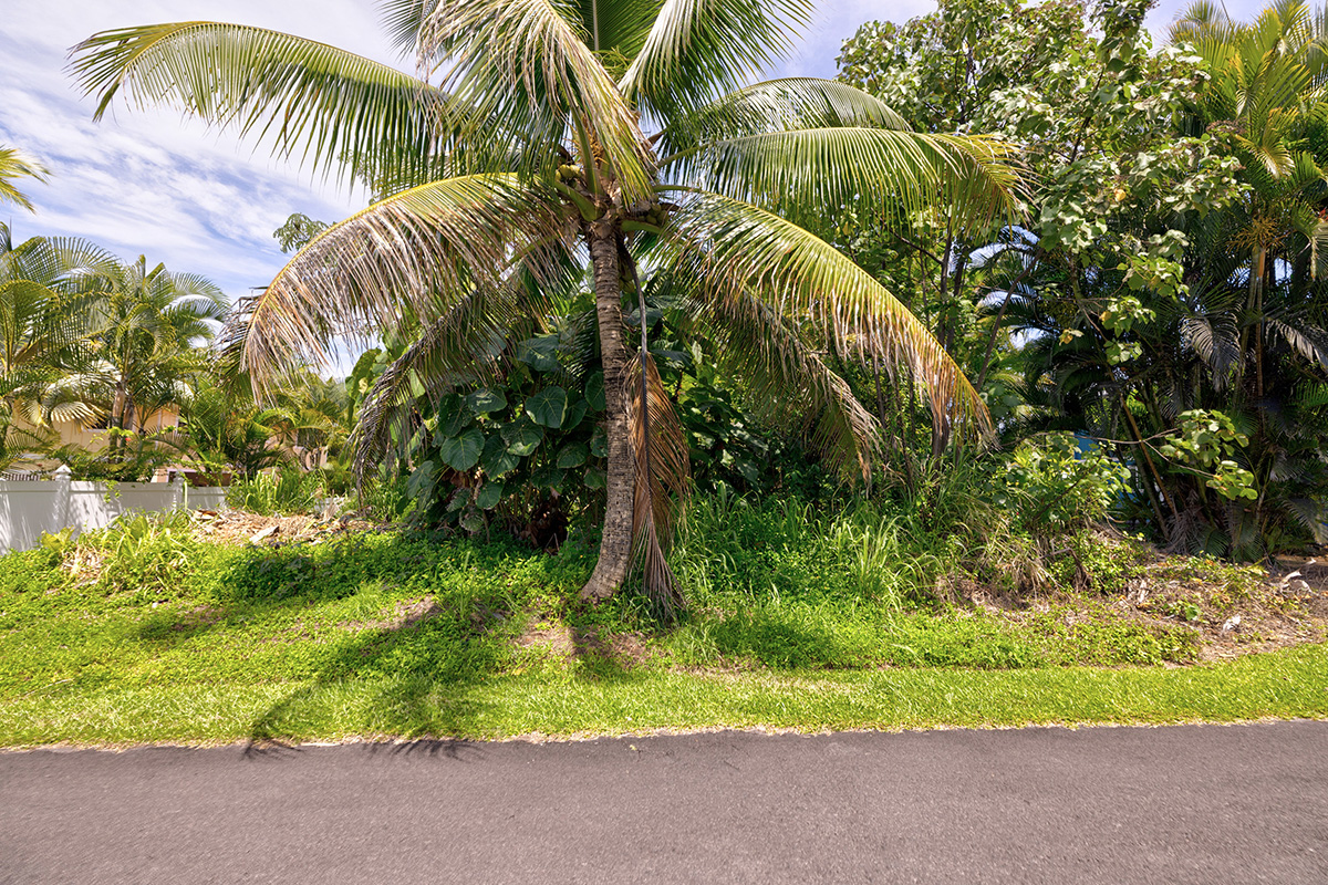 Alu Lepe St Property Photo 3