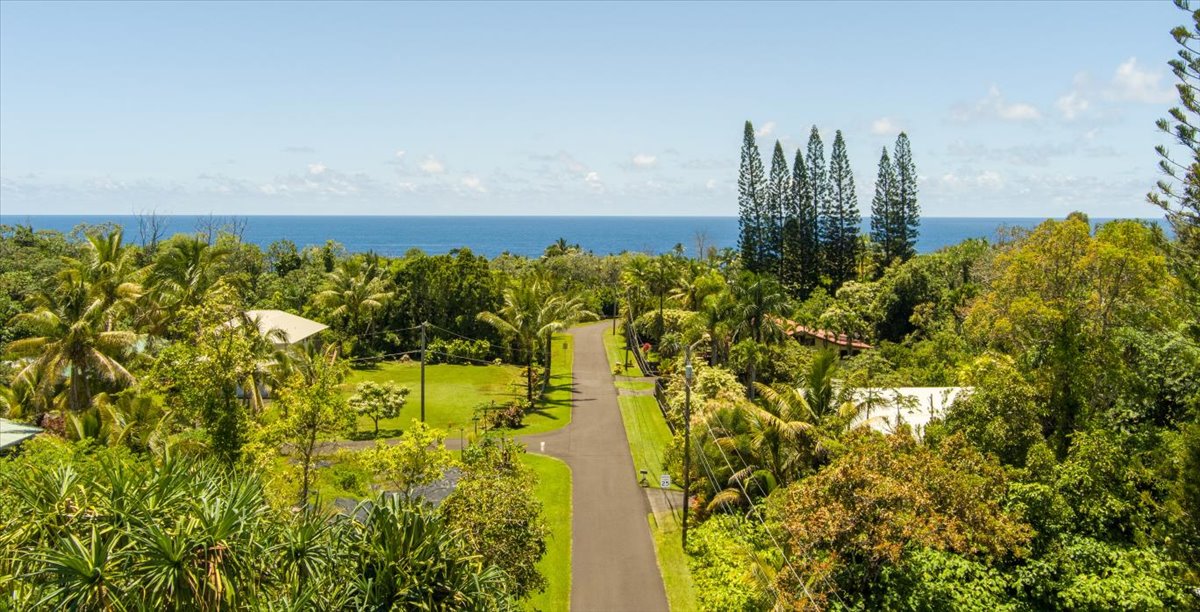 15-175 N Puni Lapa Loop Property Photo 5