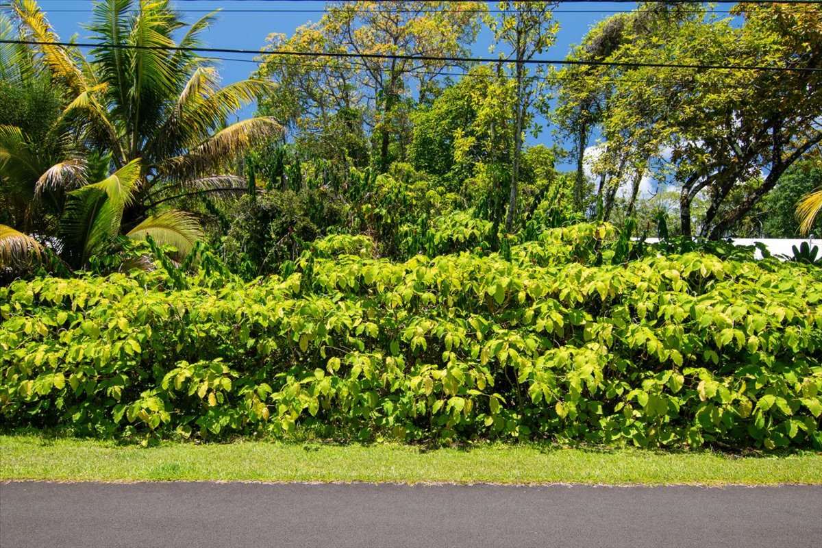 15-175 N Puni Lapa Loop Property Photo 6